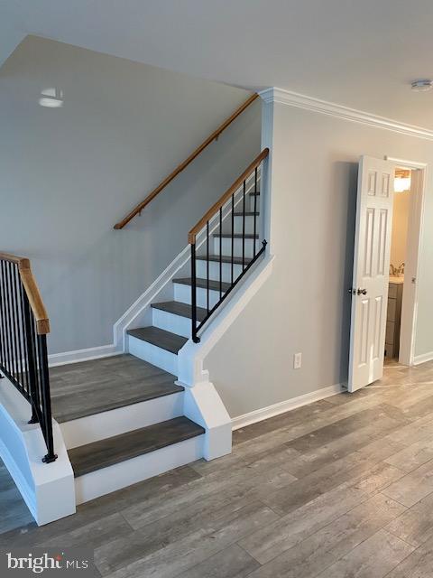 CEDAR GROVE AT CROFTON - Residential Lease