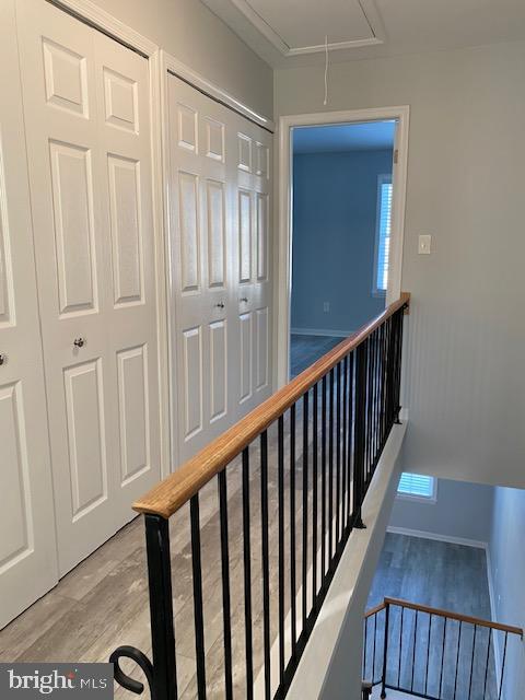 CEDAR GROVE AT CROFTON - Residential Lease