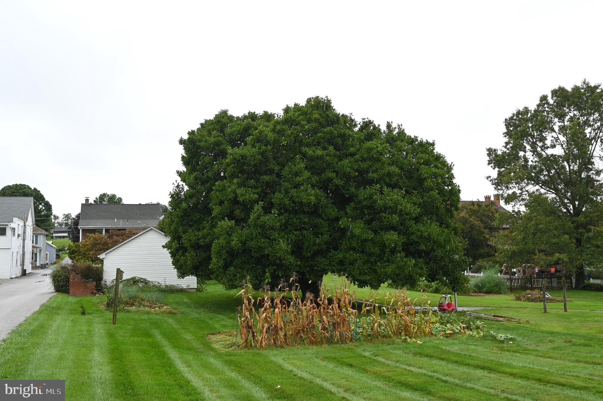 JEFFERSON BORO - Residential