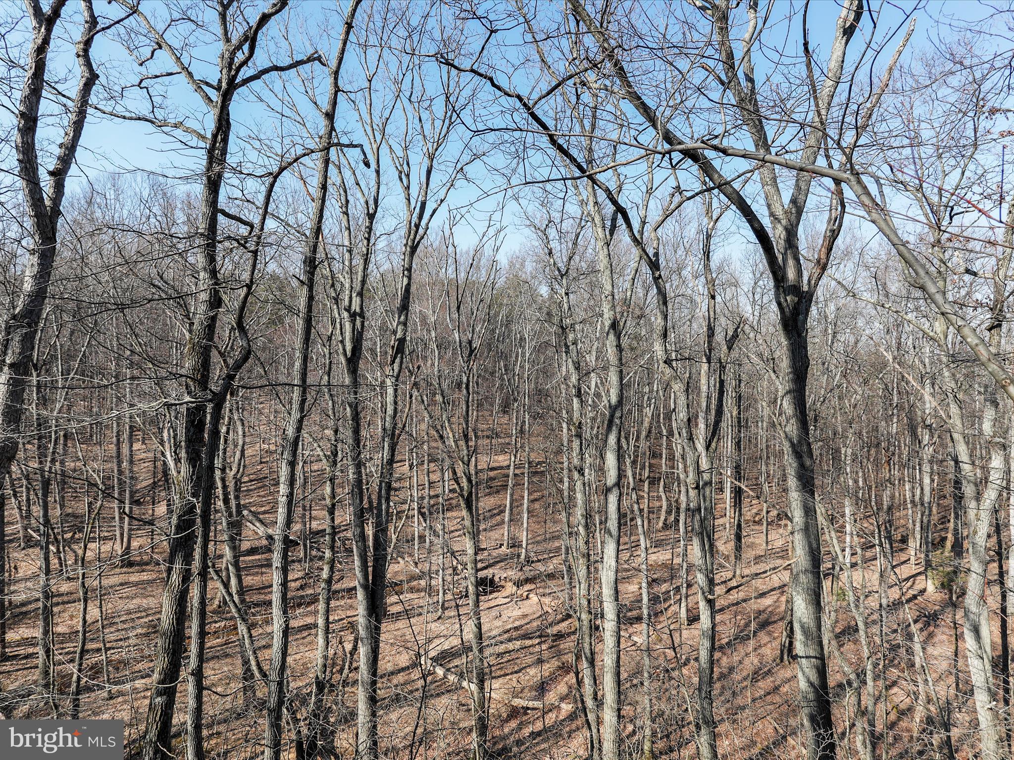 THE WOODS - Residential