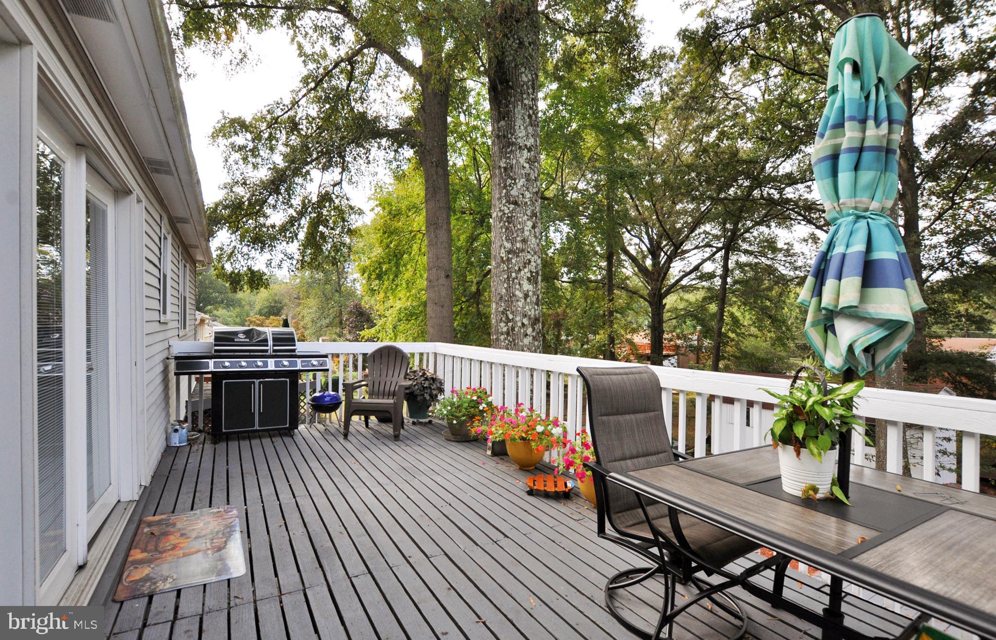 CHELTENHAM FOREST - Residential