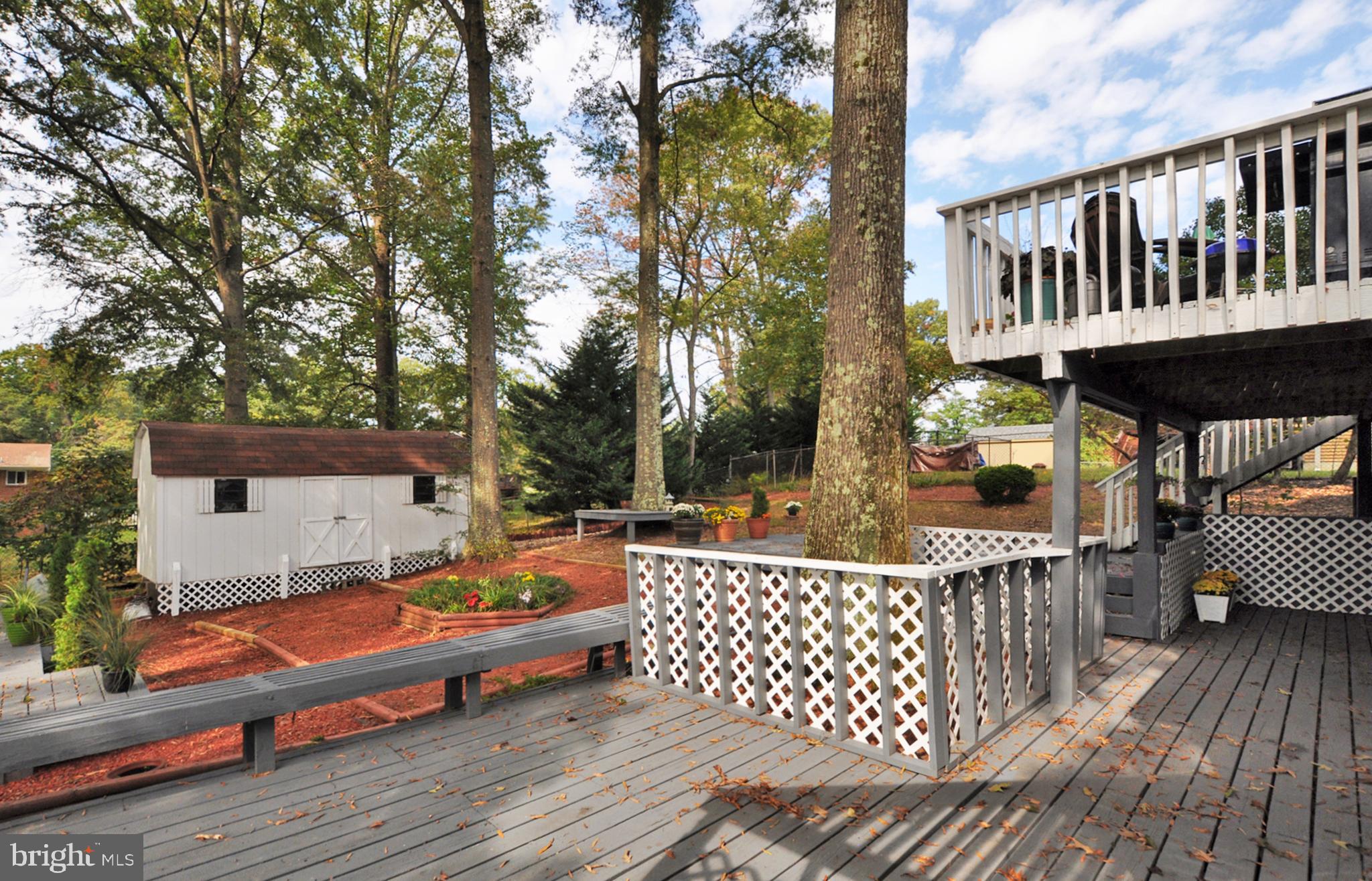 CHELTENHAM FOREST - Residential