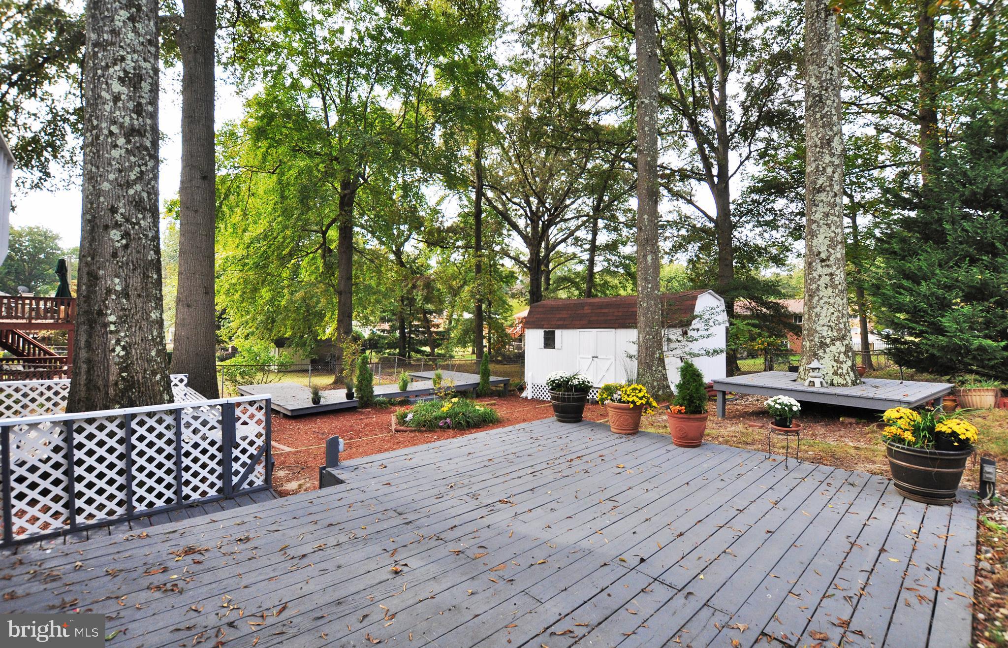 CHELTENHAM FOREST - Residential