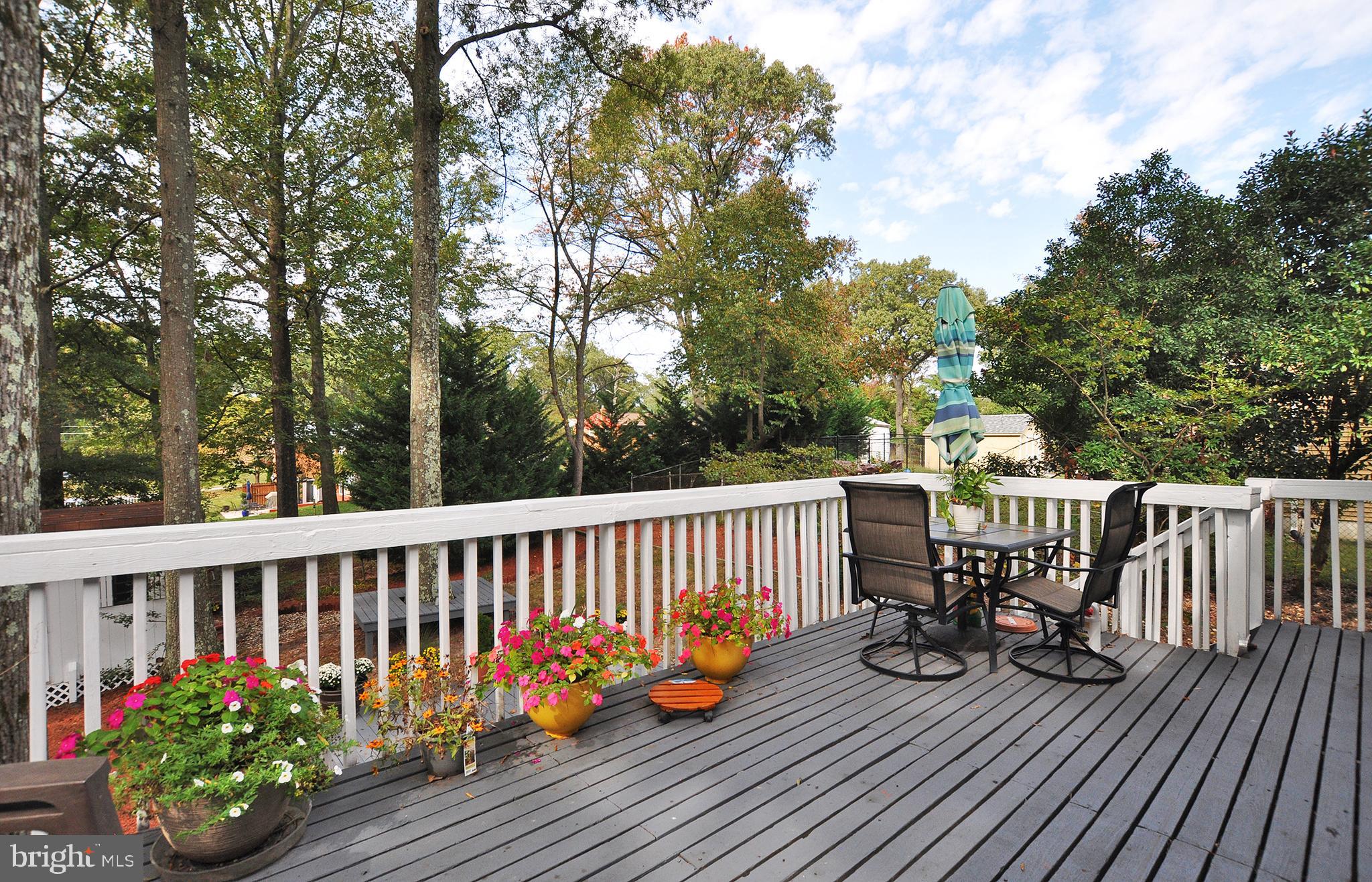 CHELTENHAM FOREST - Residential