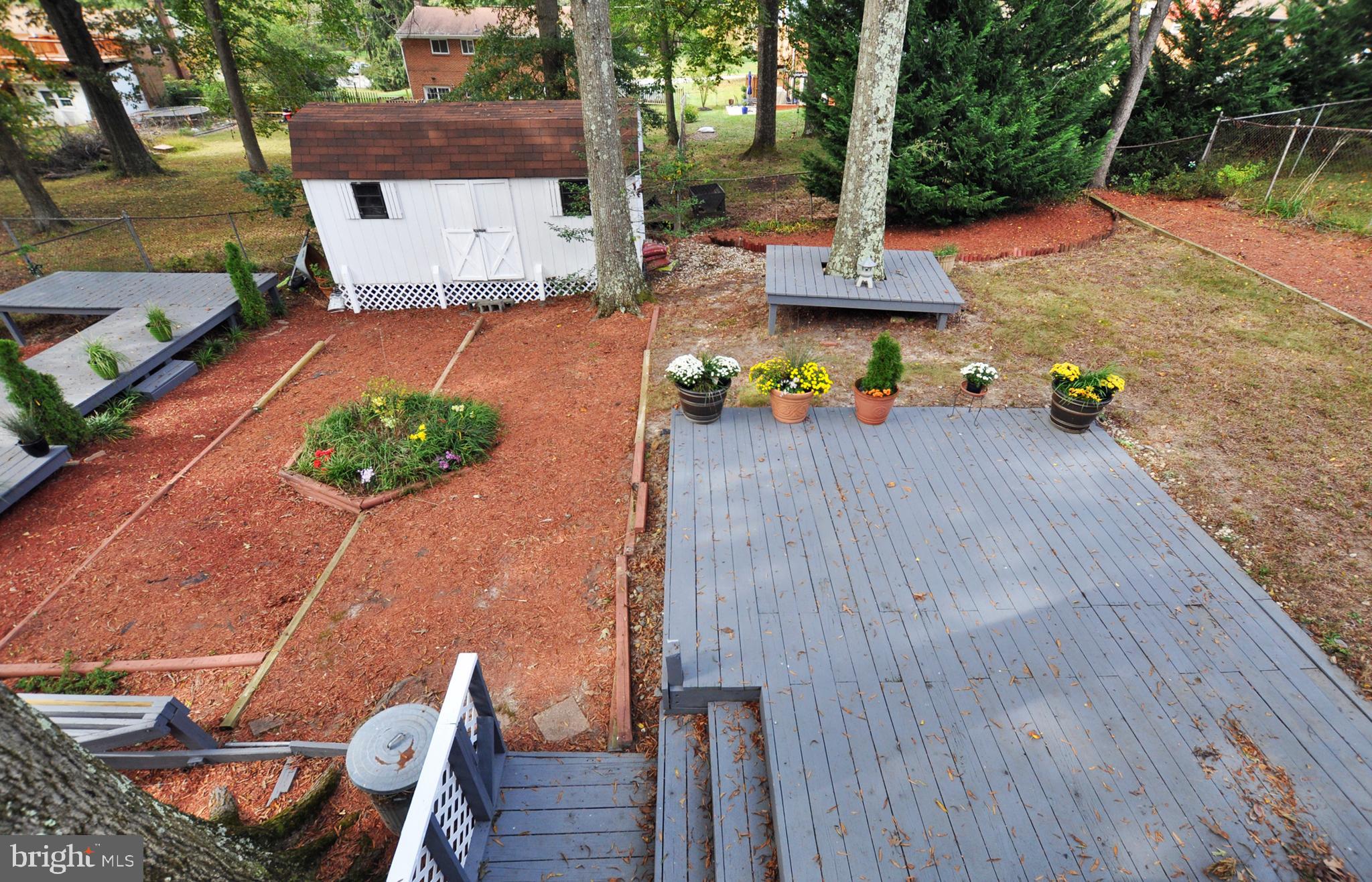 CHELTENHAM FOREST - Residential