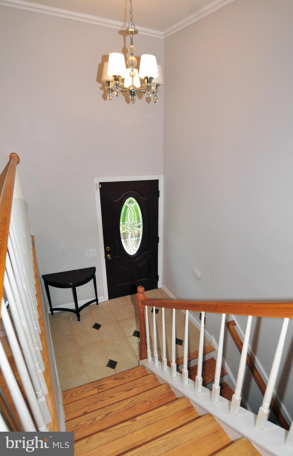 CHELTENHAM FOREST - Residential