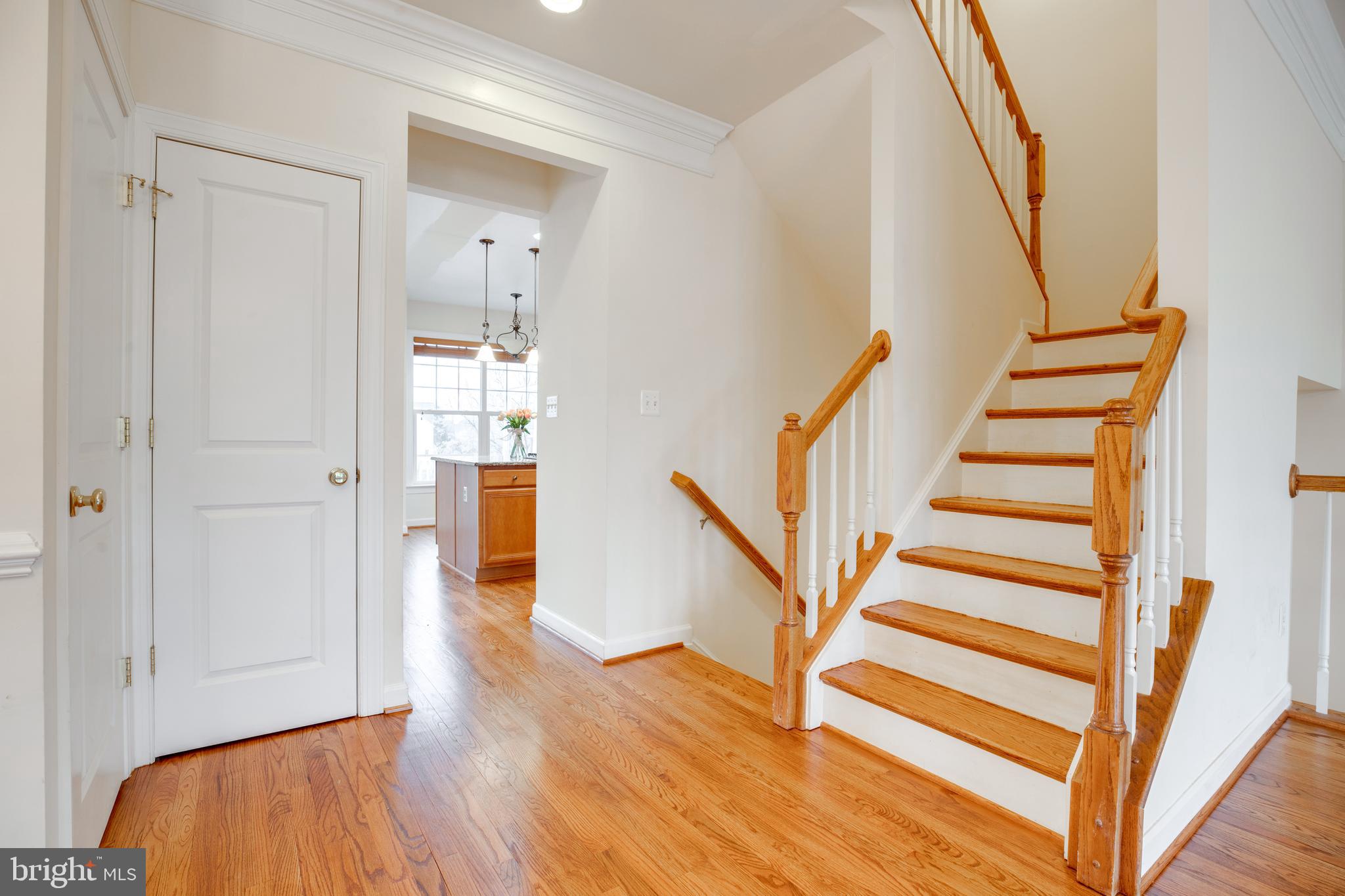 MEADOWS AT MORRIS FARM - Residential