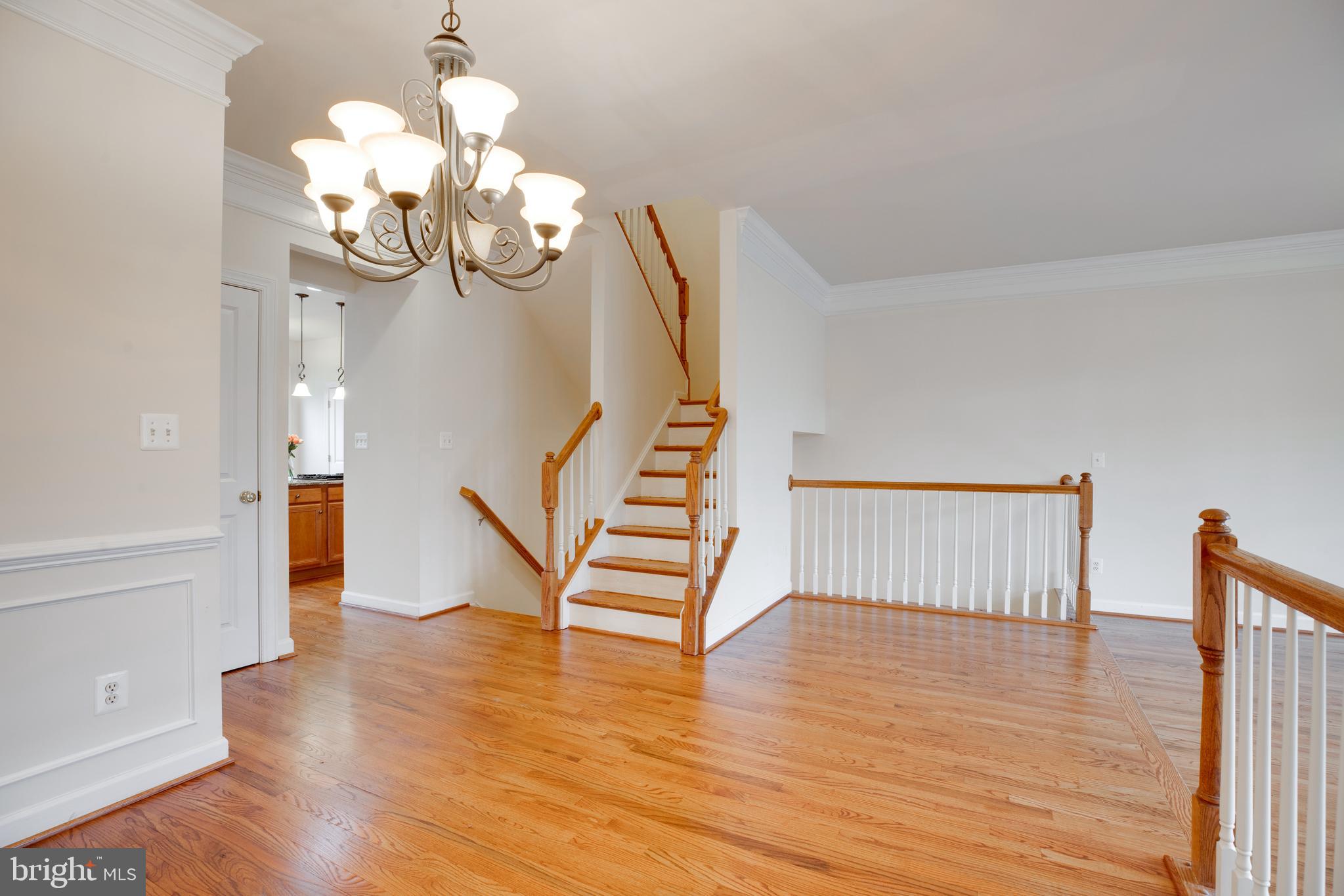 MEADOWS AT MORRIS FARM - Residential