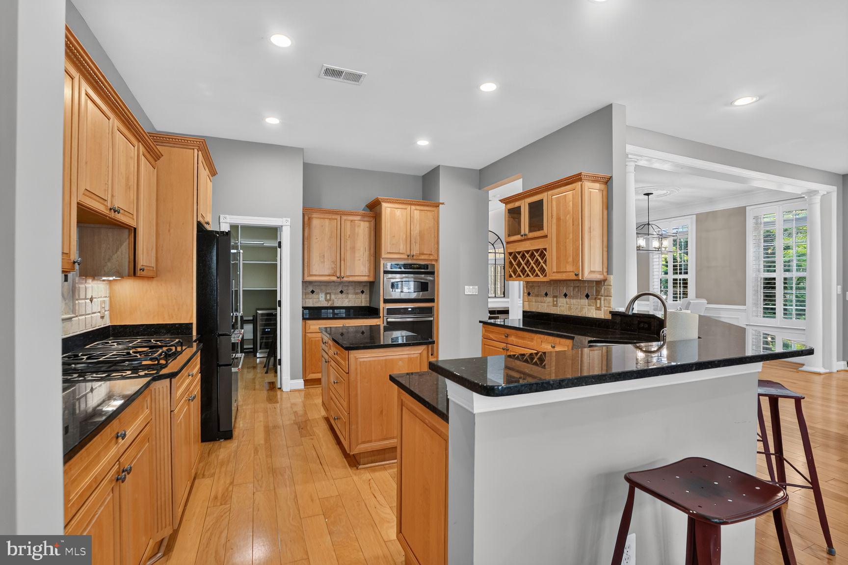 20369 POTOMAC LANDING TERRACE