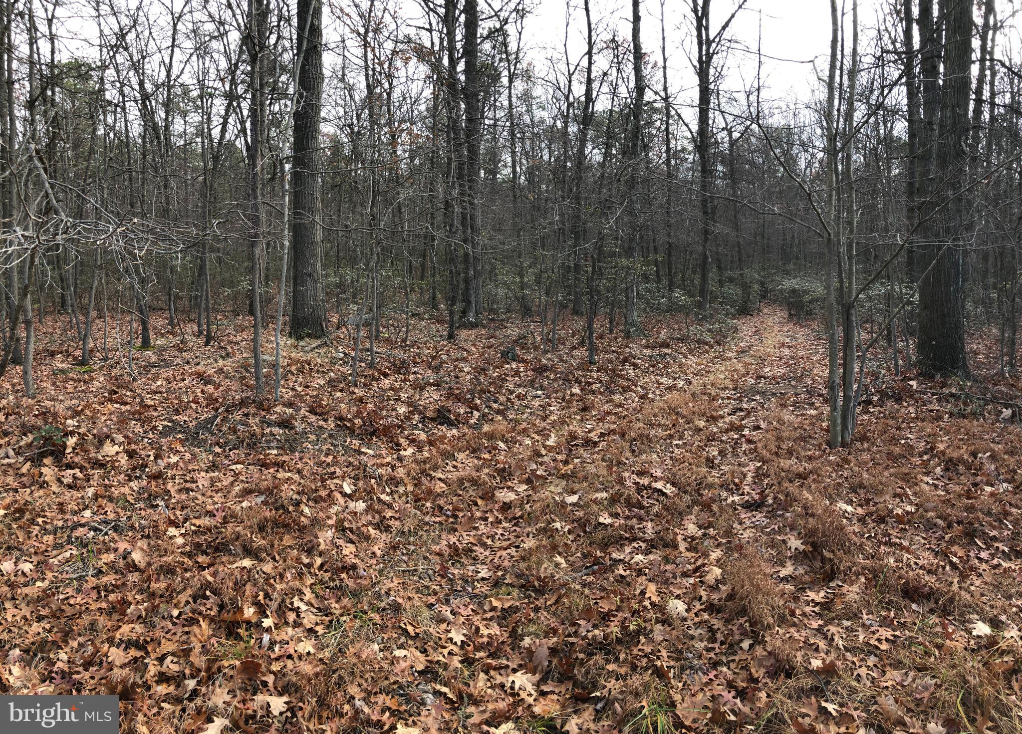 CACAPON HIGHLANDS - Land