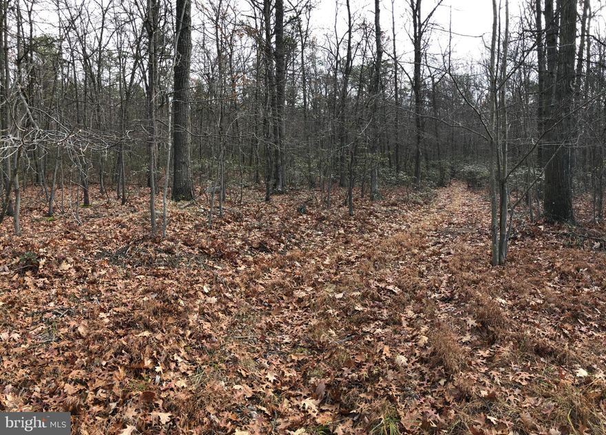 Perfect building lot in the country. Quiet setting and multiple level areas on the lot just right for that cabin getaway! Less than 1/2 mile from paved road on a well maintained subdivision road.  There is an adjacent 5.1 acre lot (Lot 8 - tax ID 042204800000000) for the possibility of over 10 acres total!