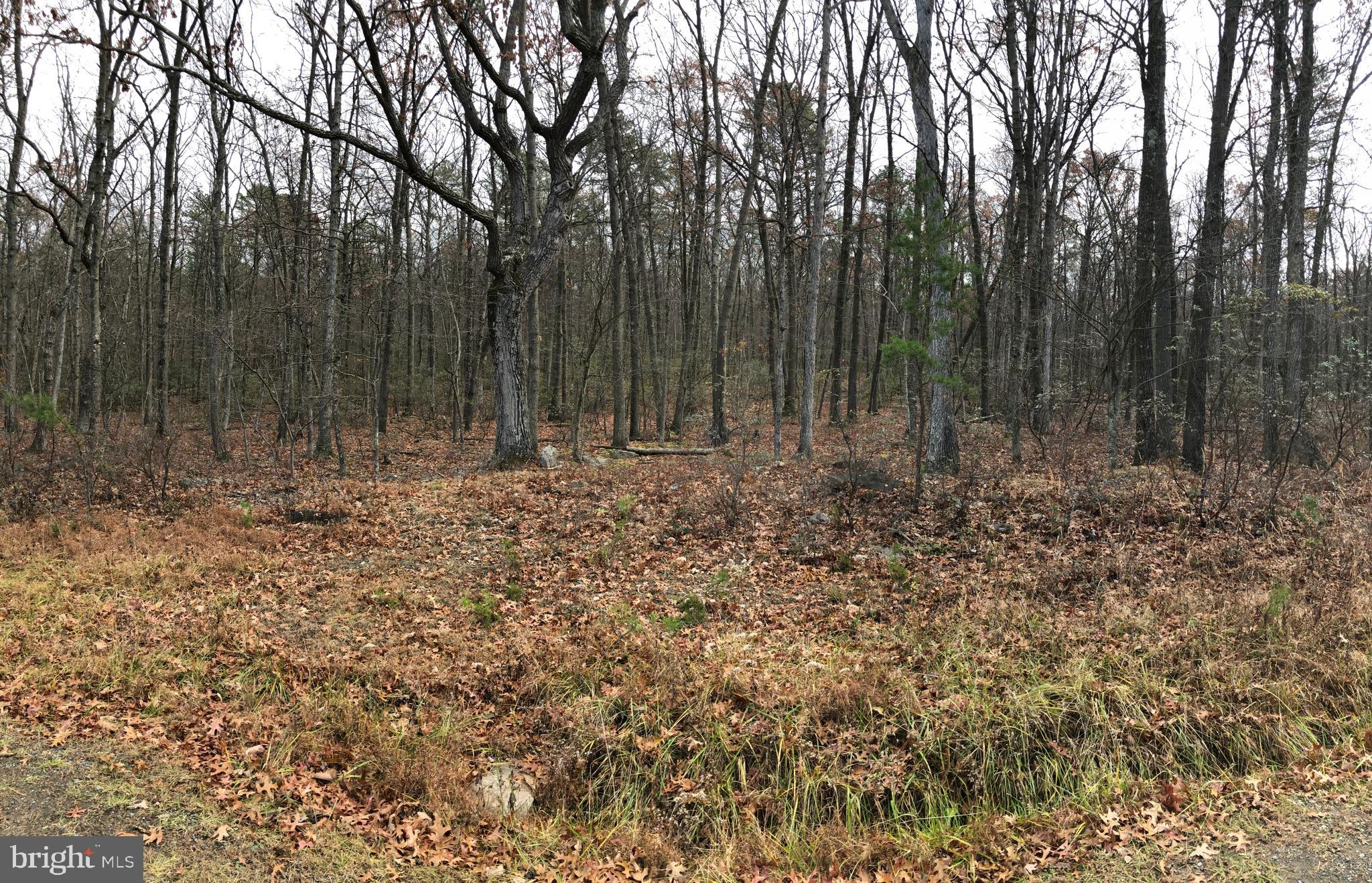 CACAPON HIGHLANDS - Land