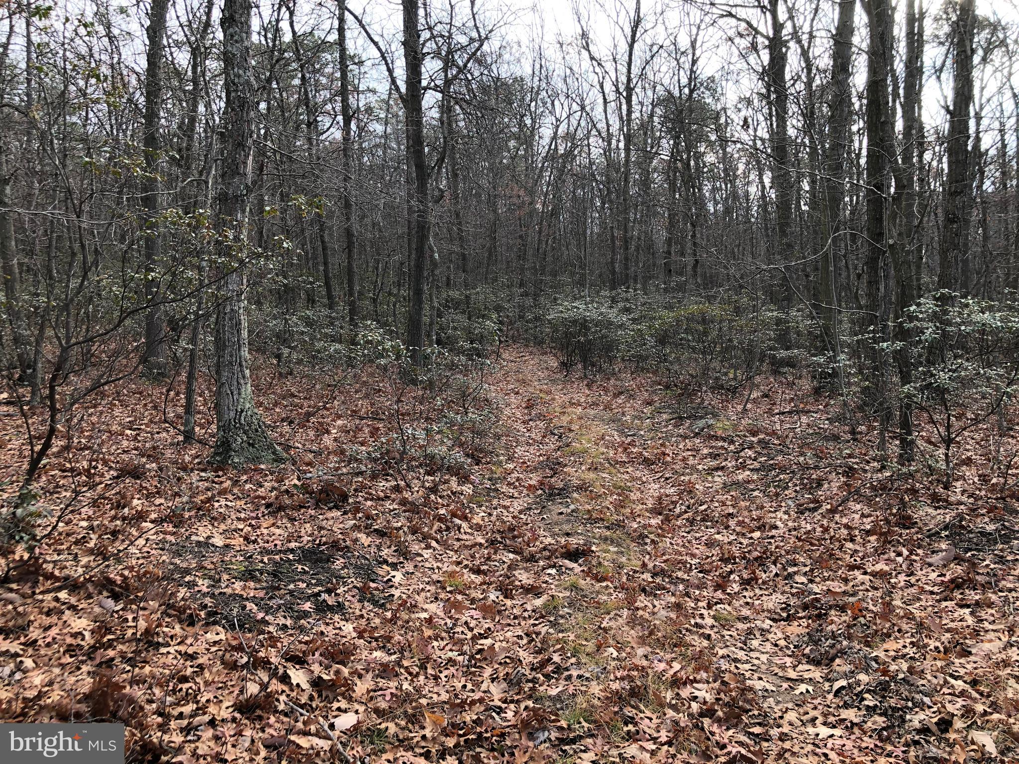 CACAPON HIGHLANDS - Land