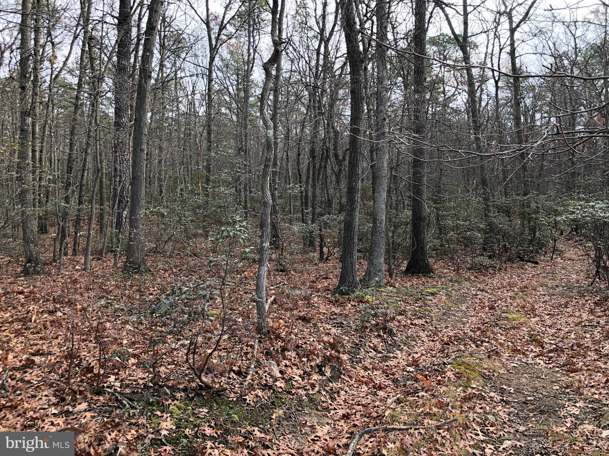 CACAPON HIGHLANDS - Land