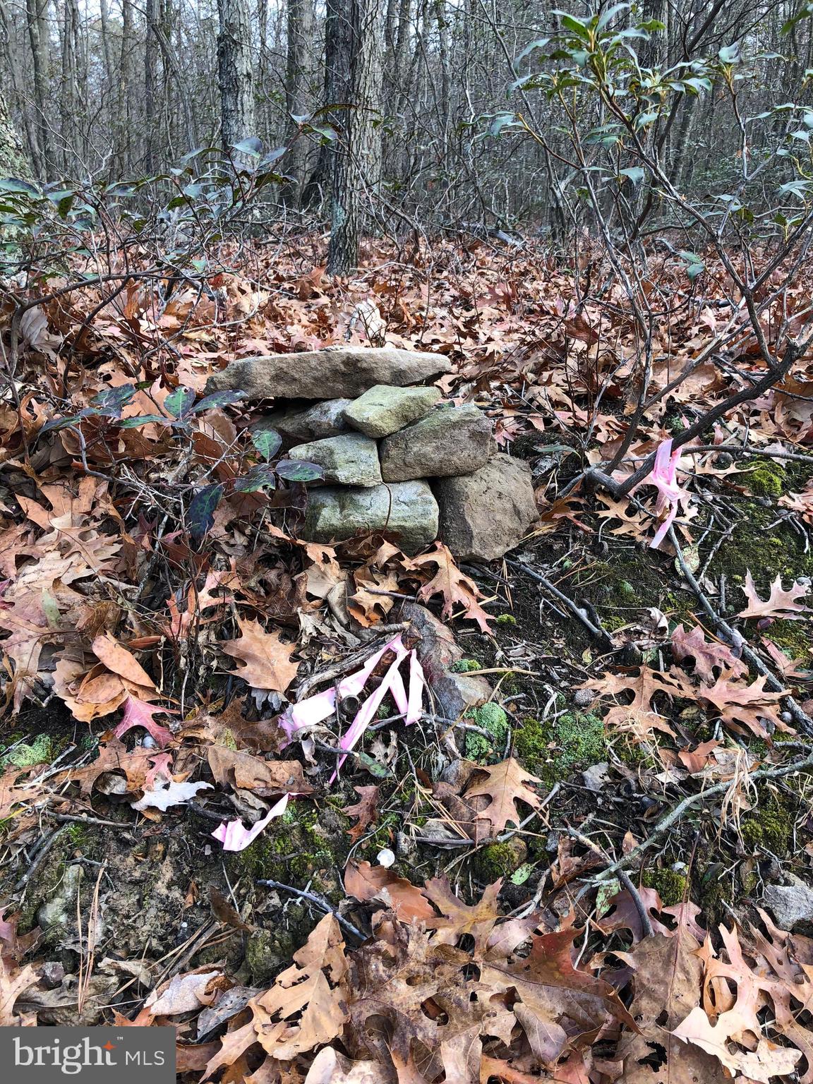 CACAPON HIGHLANDS - Land