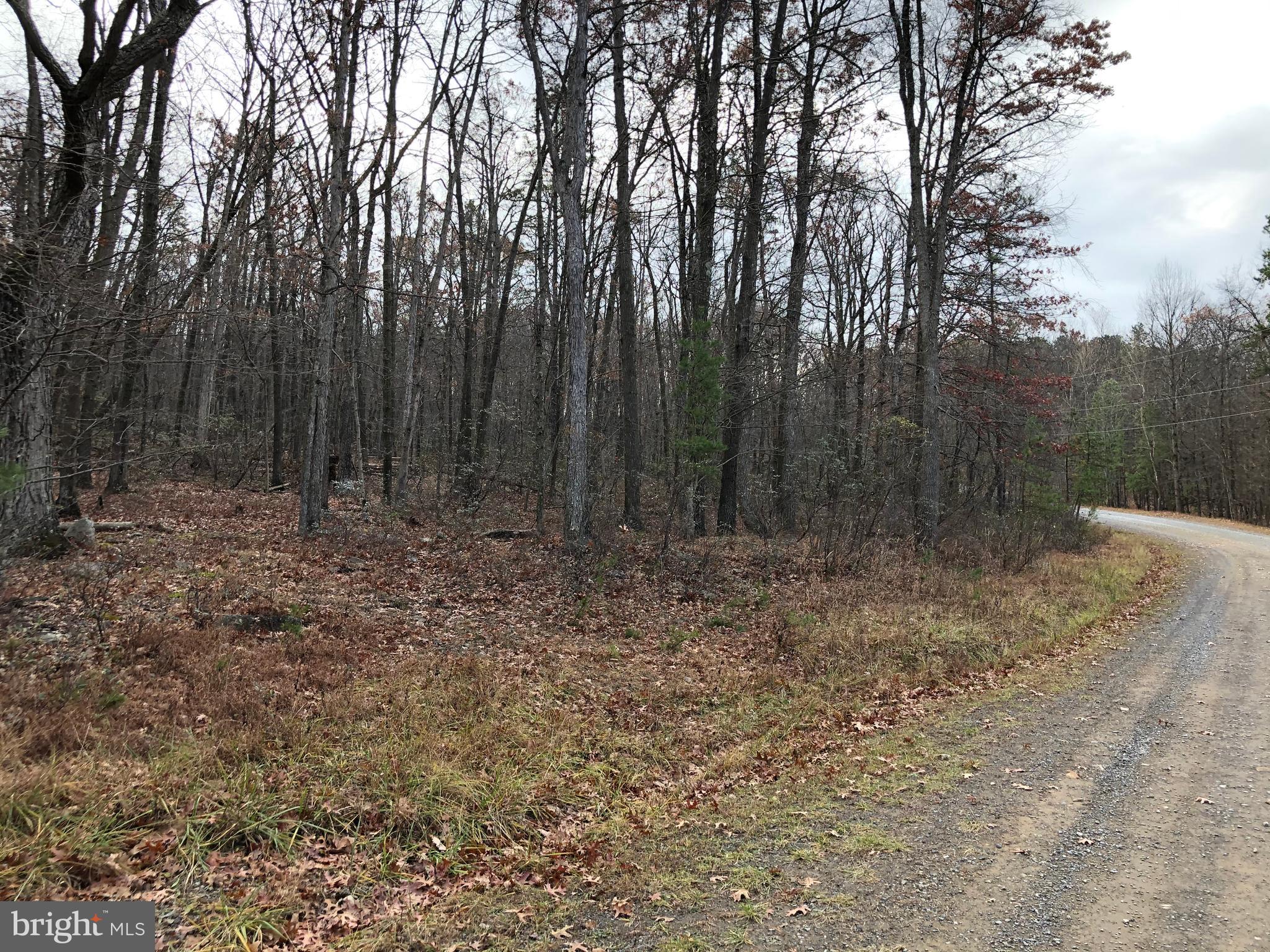 CACAPON HIGHLANDS - Land