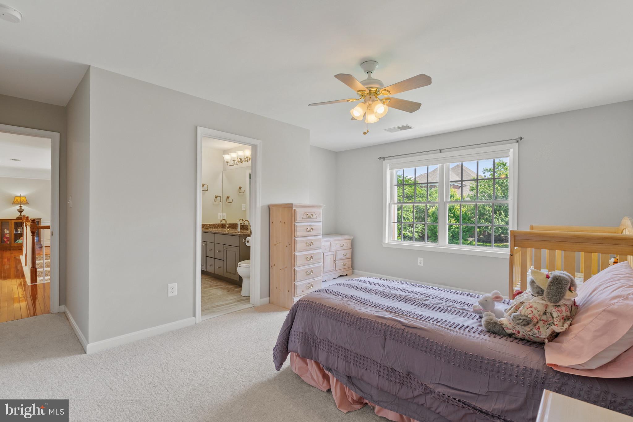 THE PADDOCKS - Residential