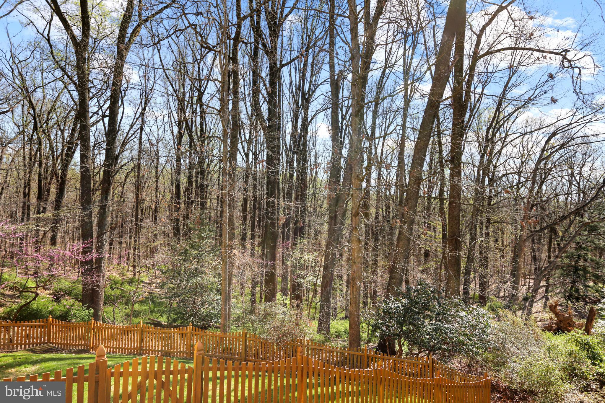 COCKEYSVILLE - Residential