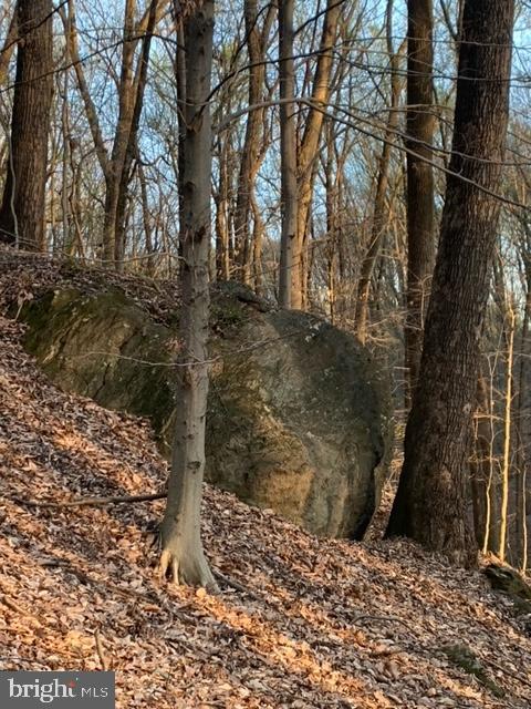 COCKEYSVILLE - Residential