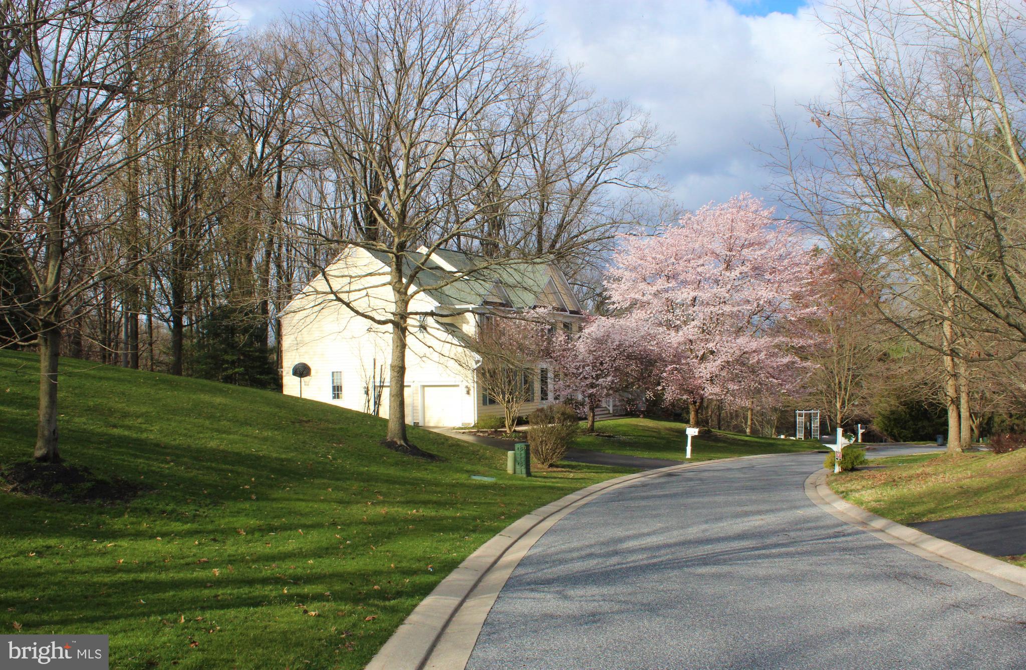 COCKEYSVILLE - Residential