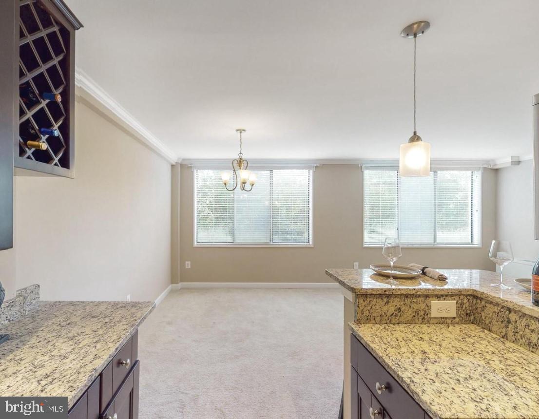 6641 WAKEFIELD DRIVE 219