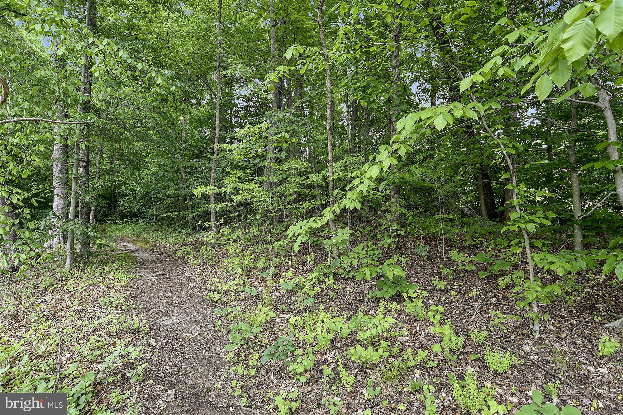 SOUTHBRIDGE - Residential