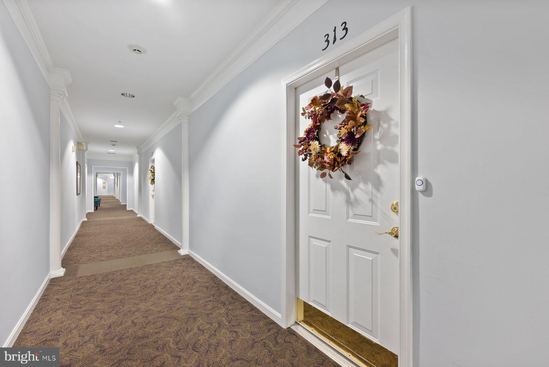 2607 CHAPEL LAKE DRIVE 313