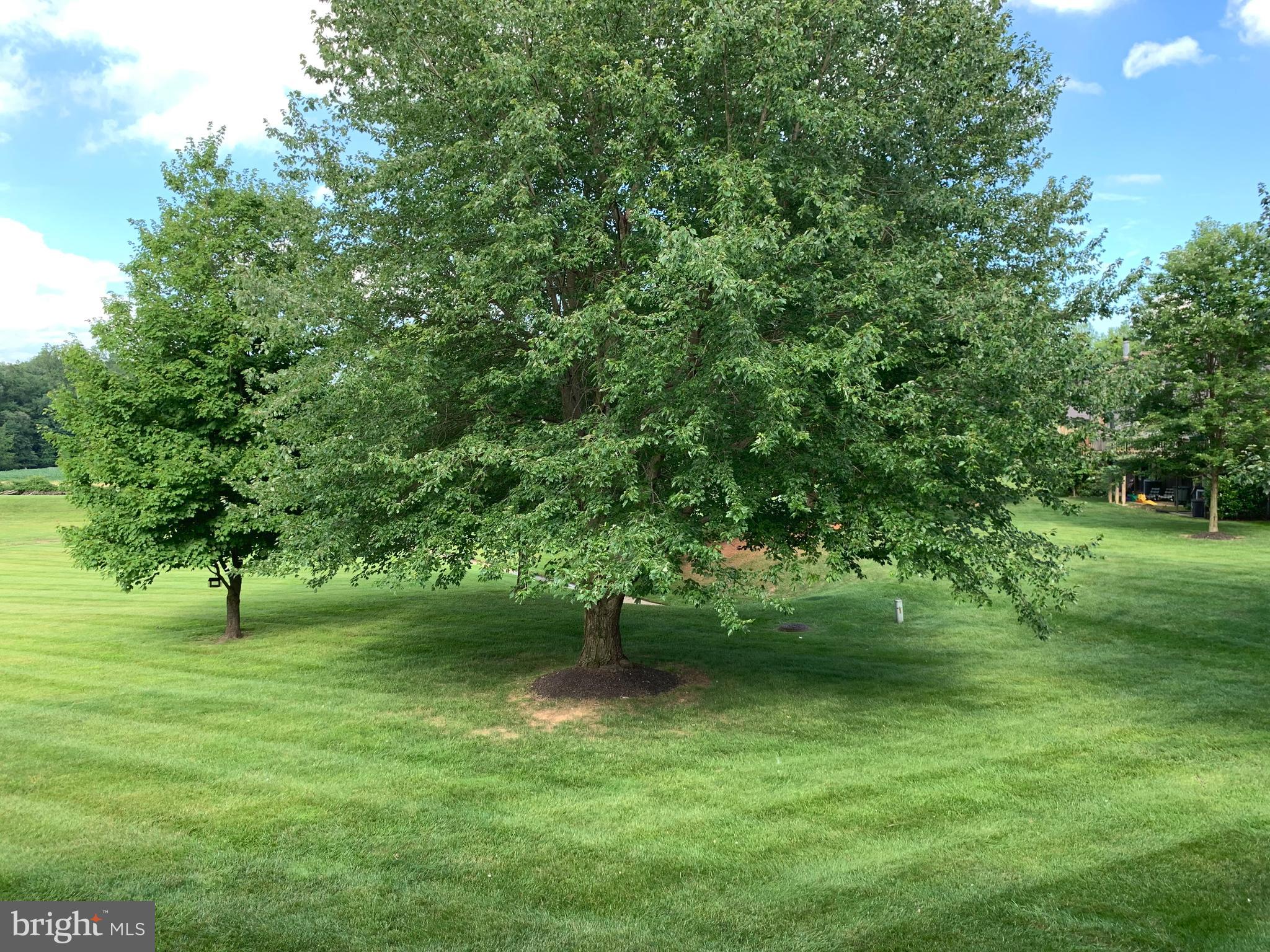 STEVENSON POST - Residential