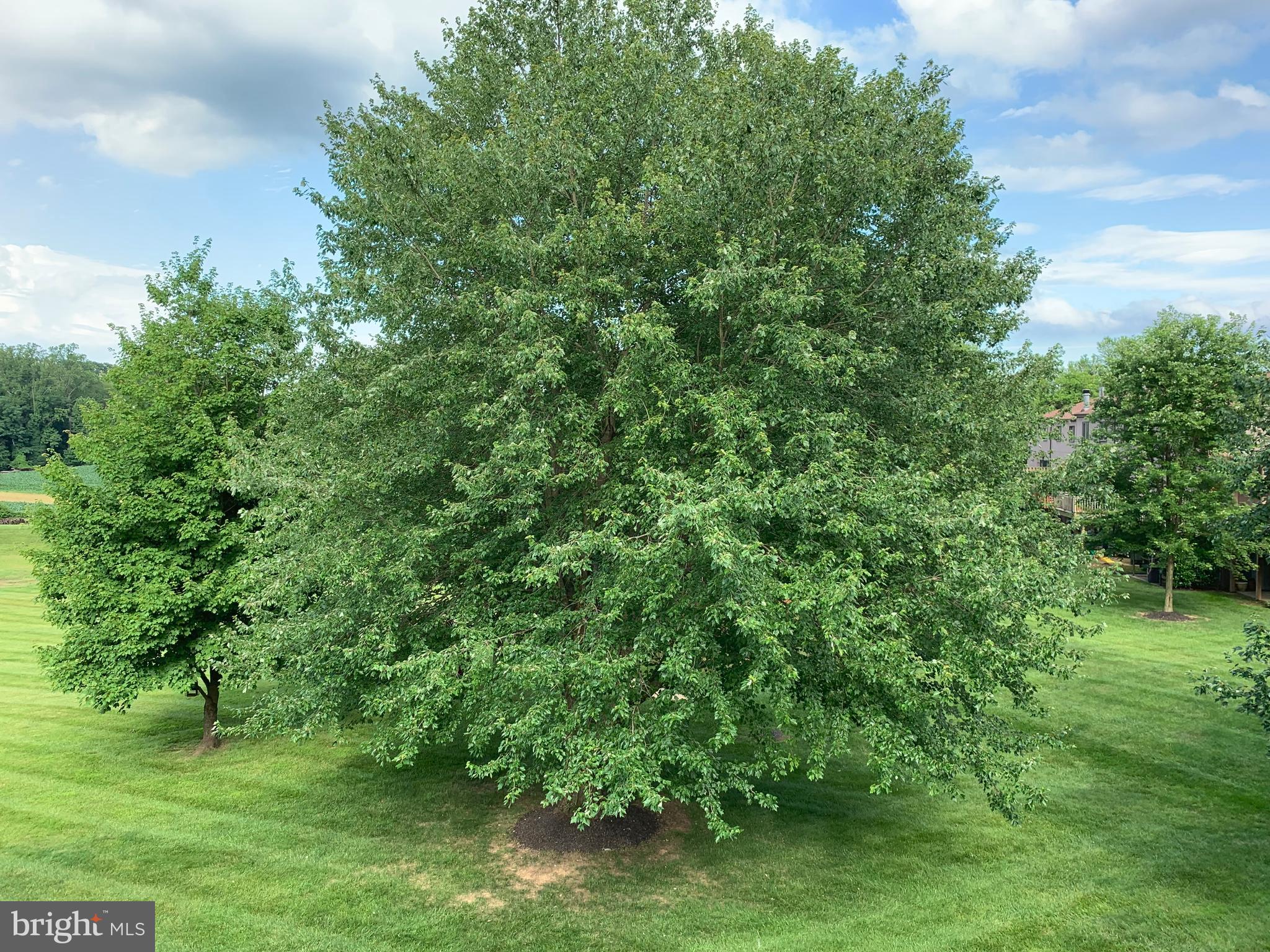 STEVENSON POST - Residential