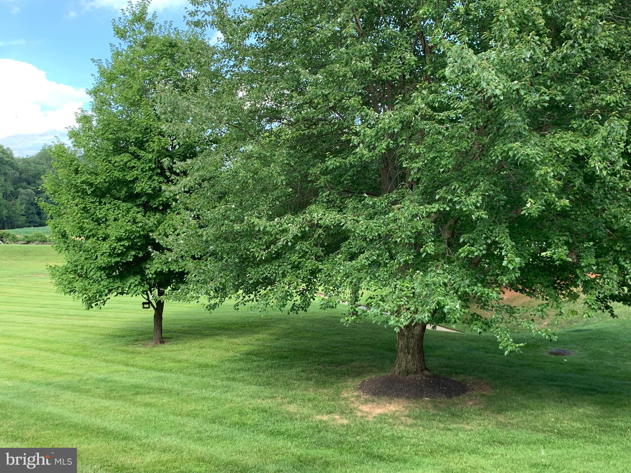 STEVENSON POST - Residential