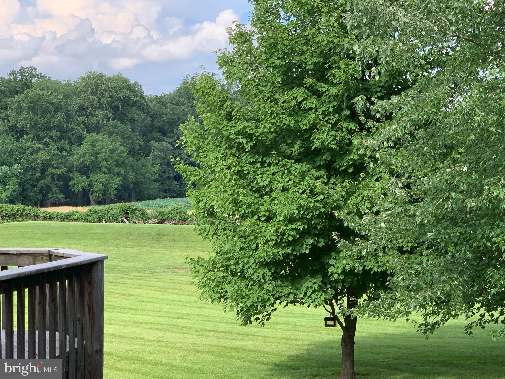 STEVENSON POST - Residential