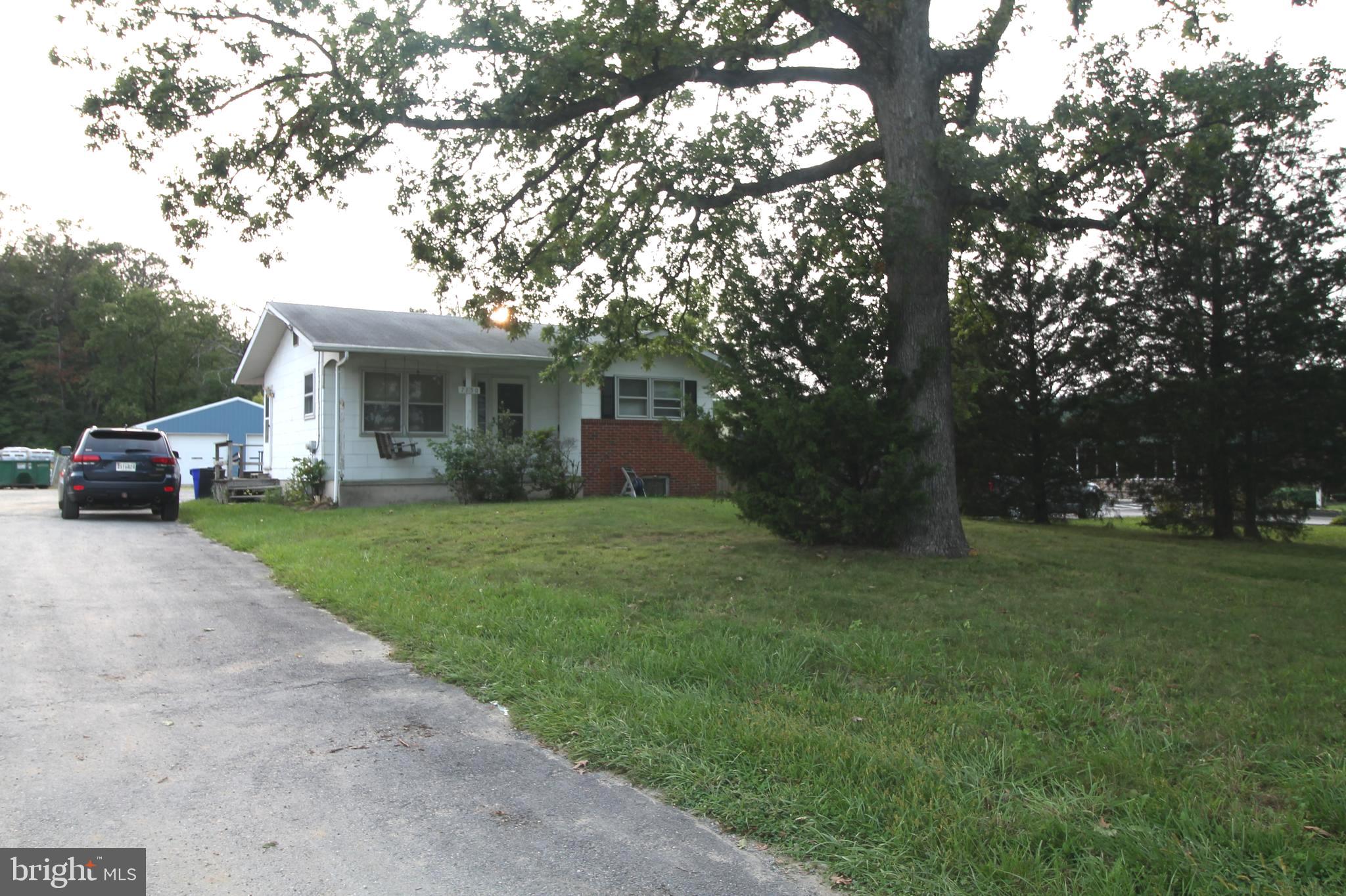 Main image without alt text