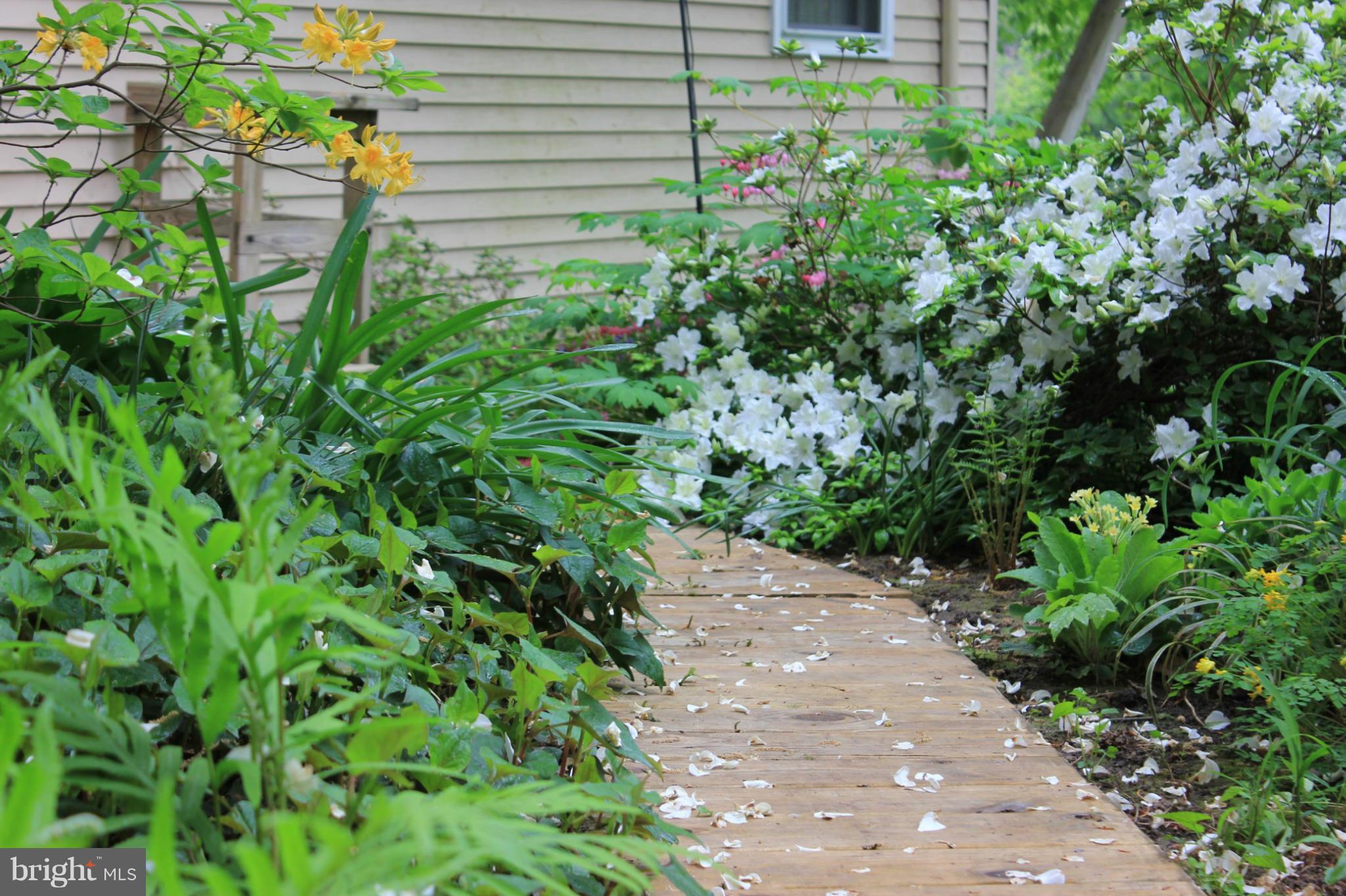 CORNWELL - Residential