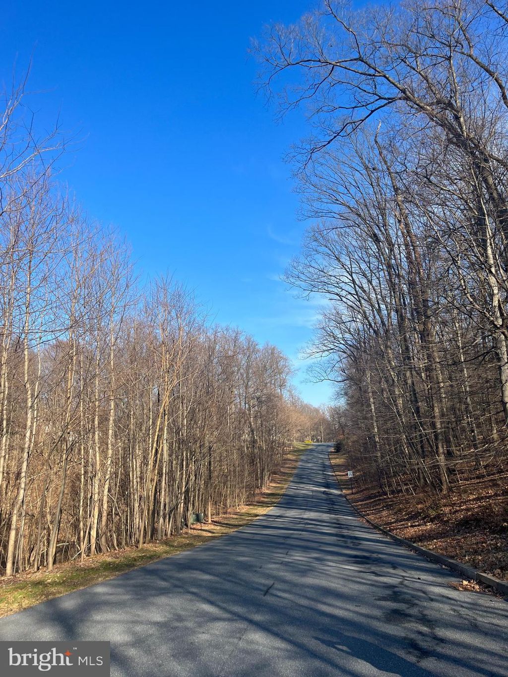 Photo of 21 BUCK RUN RD, CONESTOGA, PA 17516 (MLS # PALA2030524)