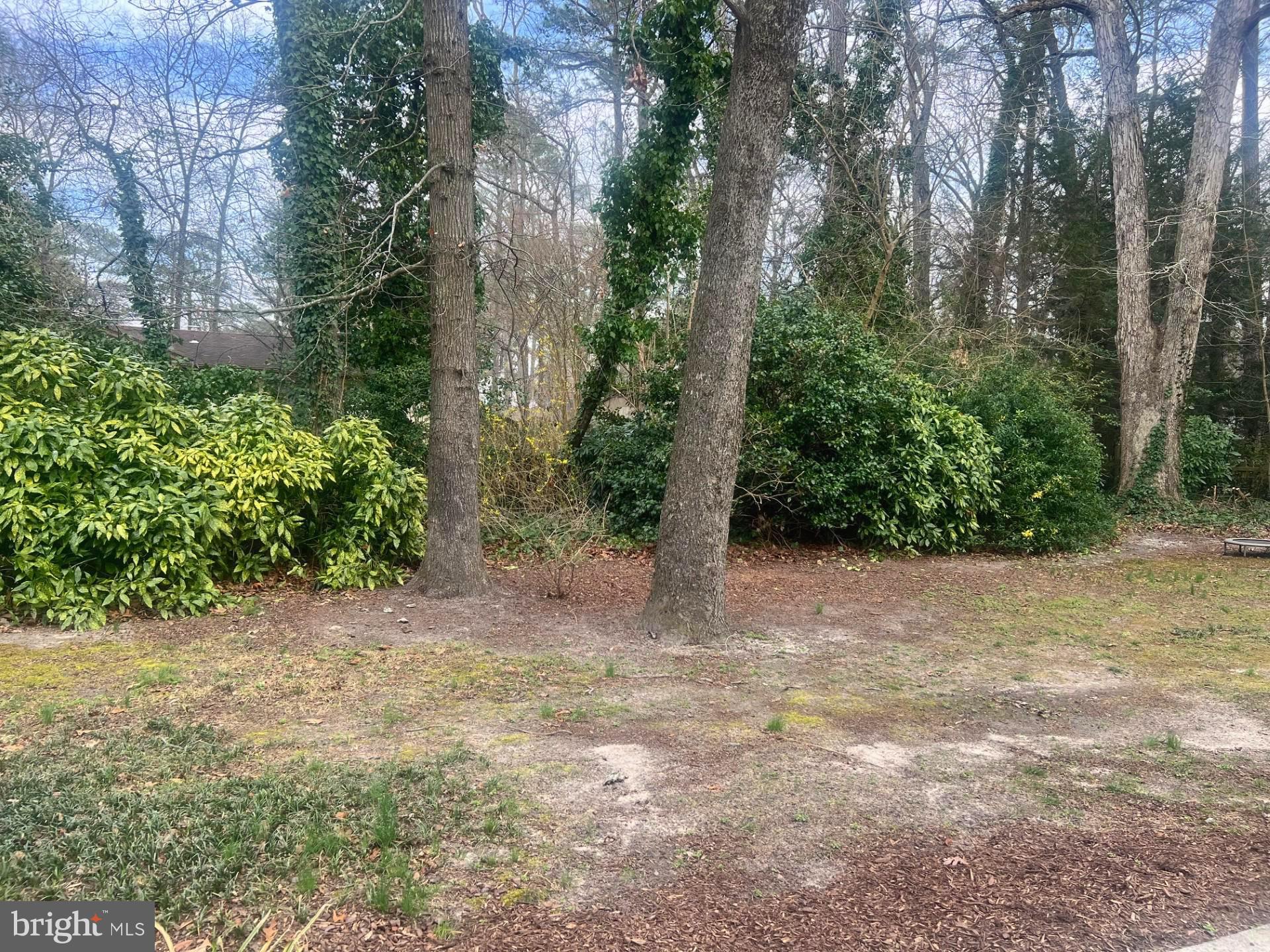 AVALON PARK - Residential