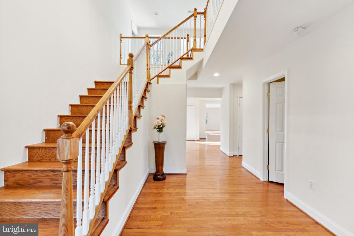 SPRINGBROOK FOREST - Residential