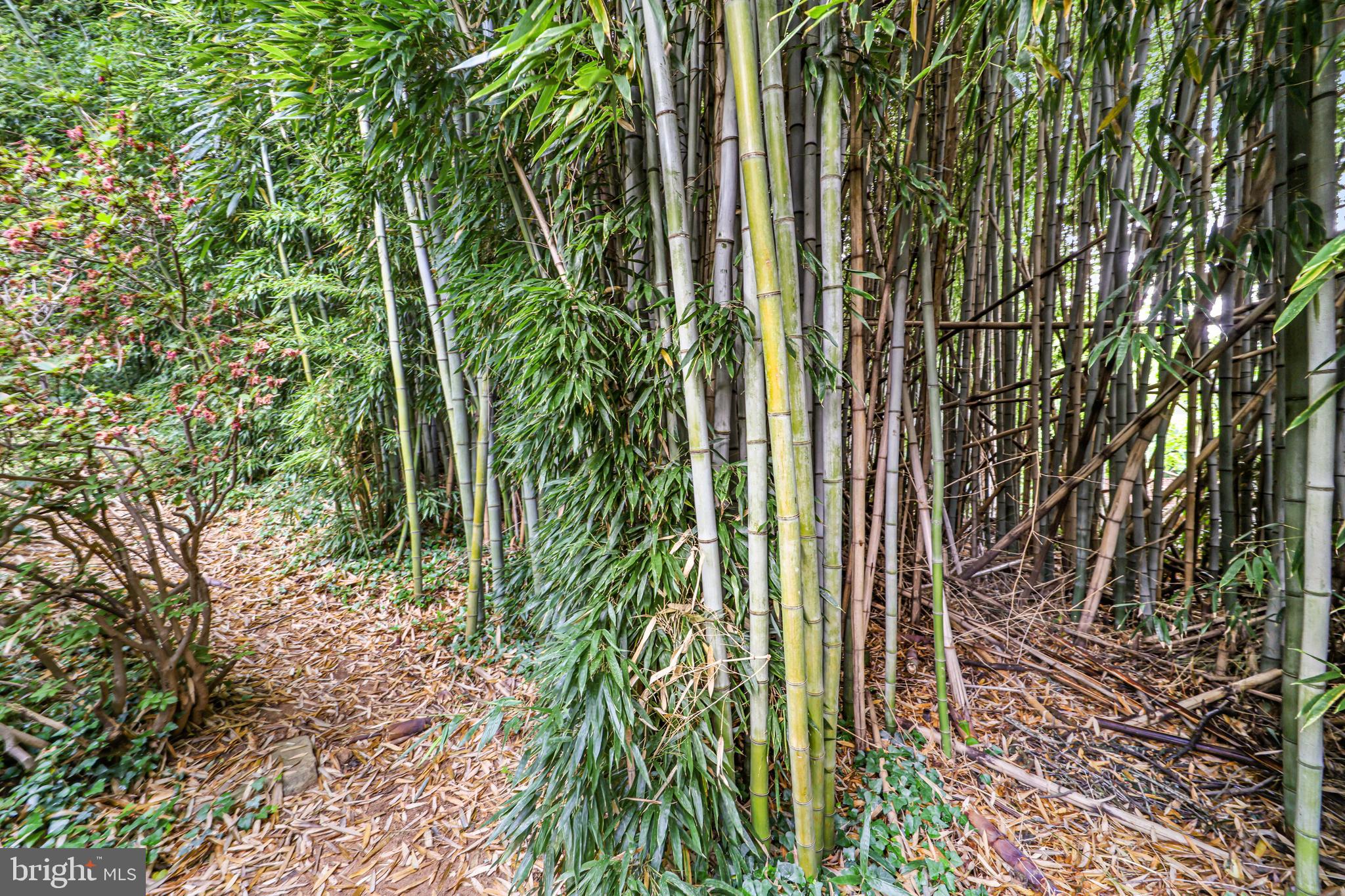 RIVERCREST - Residential