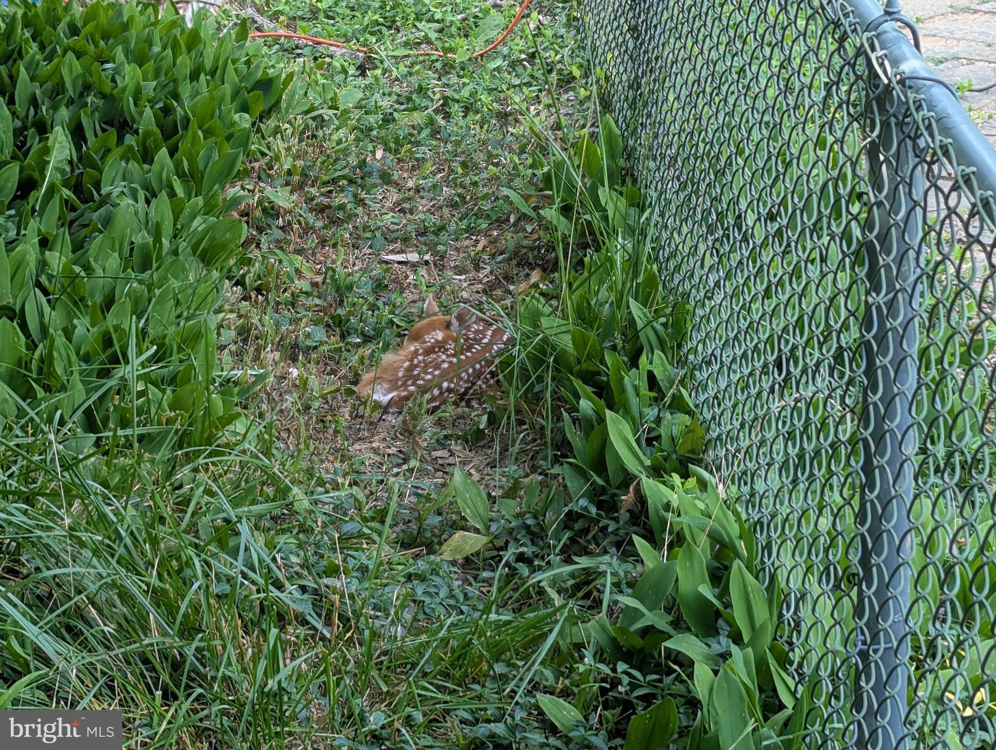 FAIRLAND ACRES - Residential