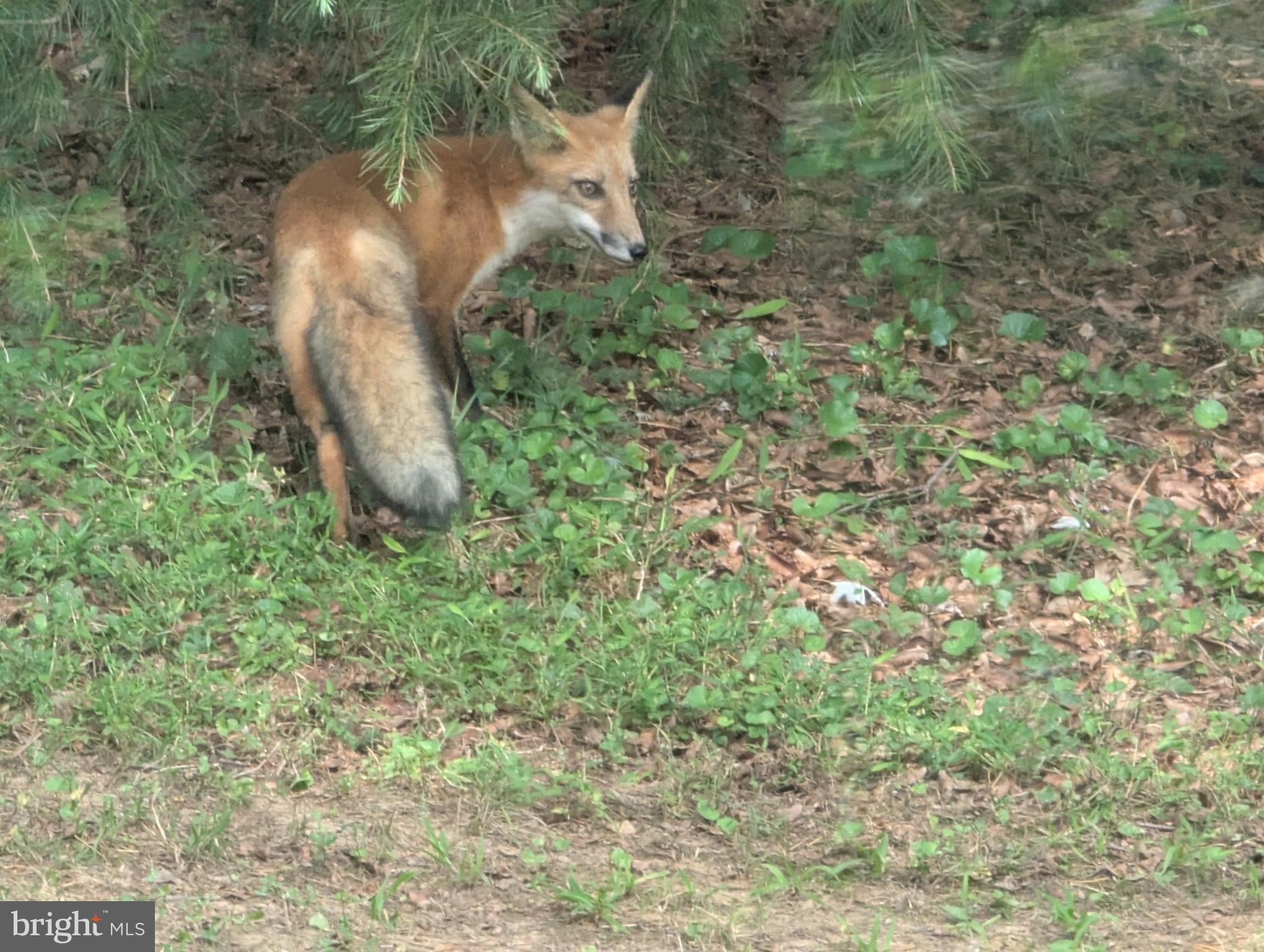 FAIRLAND ACRES - Residential
