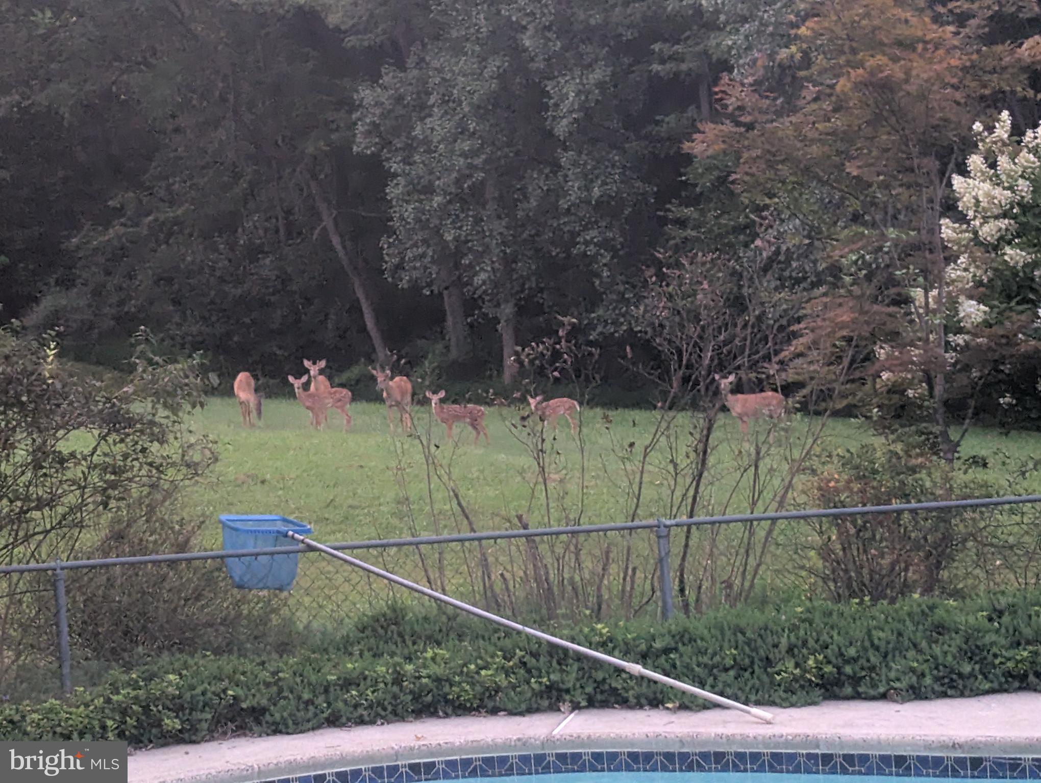 FAIRLAND ACRES - Residential