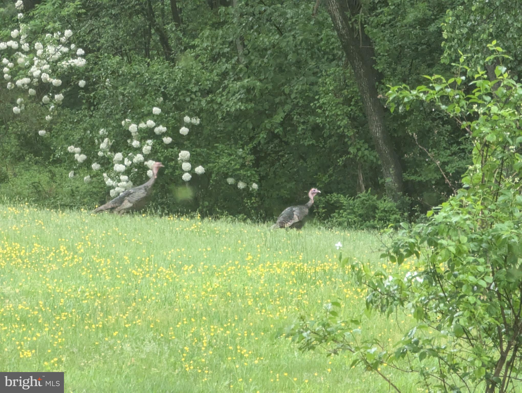 FAIRLAND ACRES - Residential