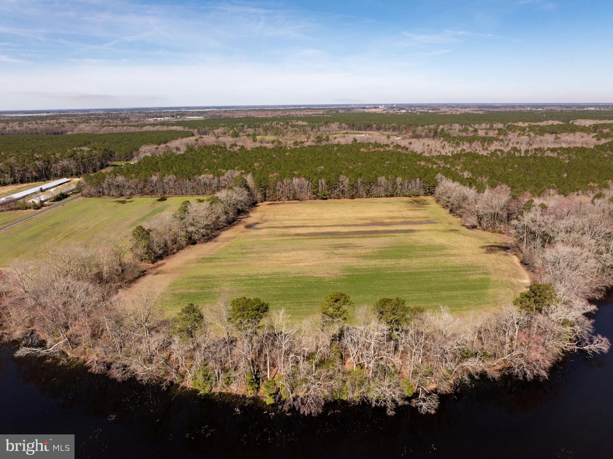 NONE AVAILABLE - Farm