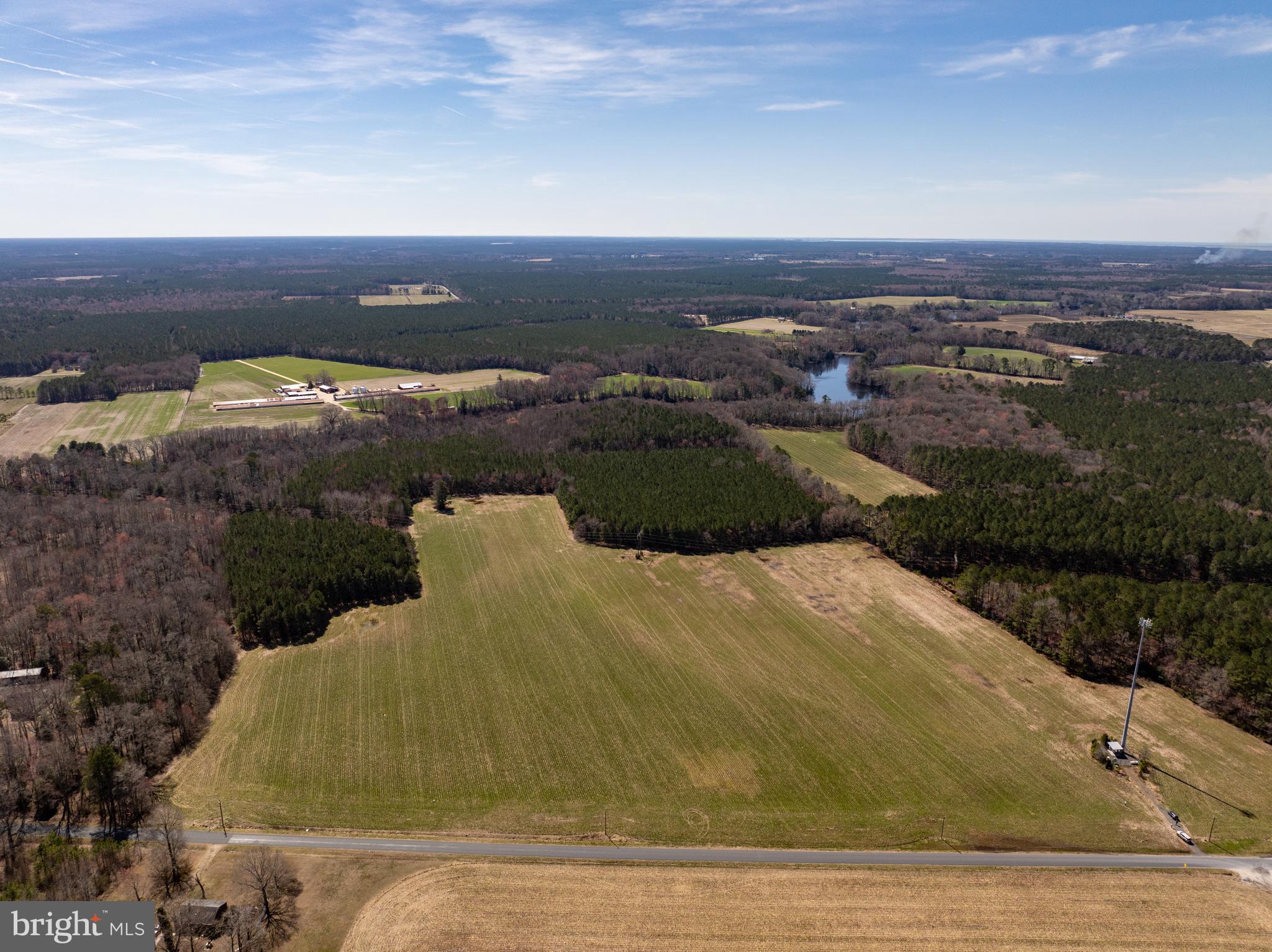 NONE AVAILABLE - Farm