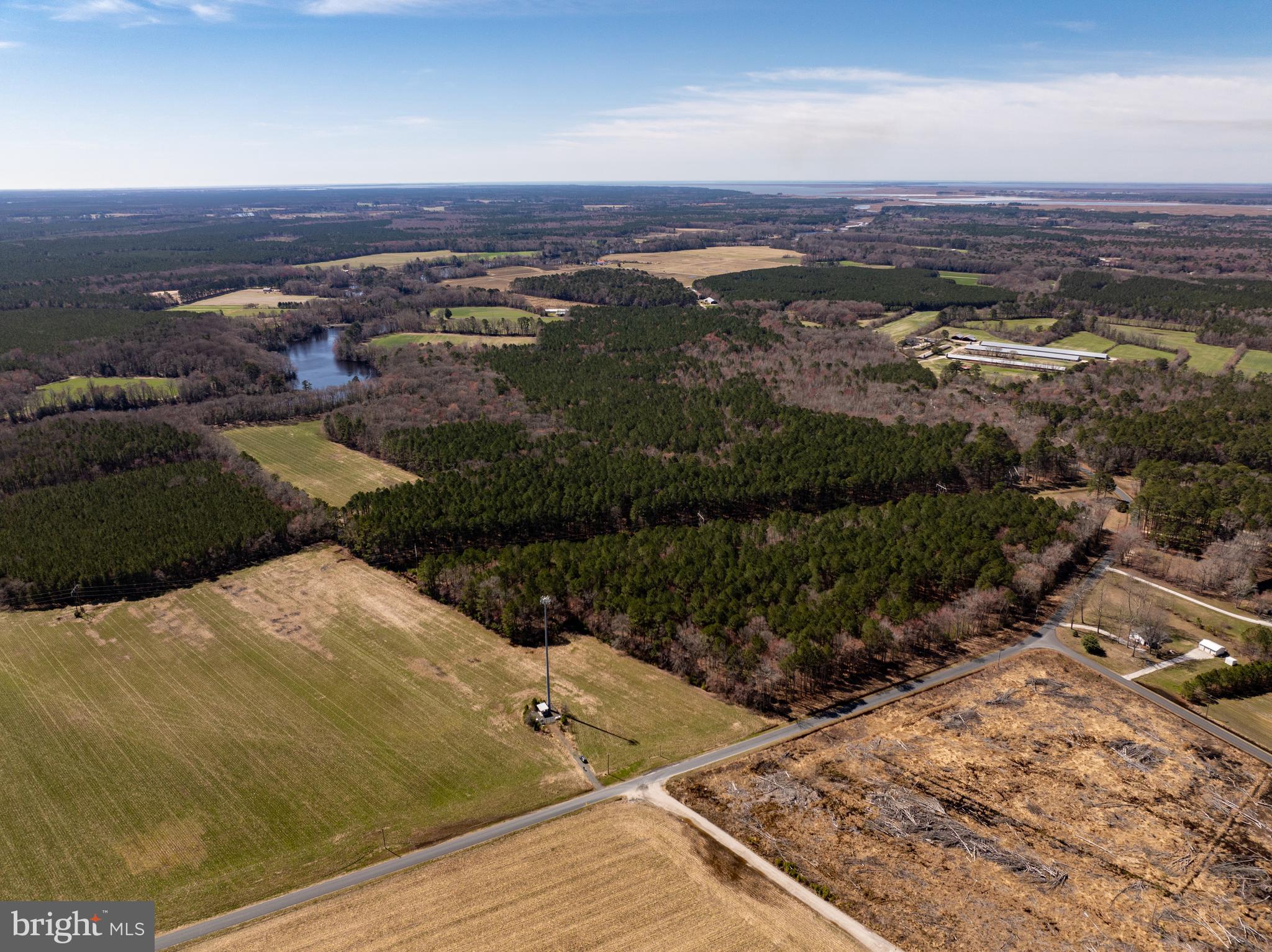 NONE AVAILABLE - Farm