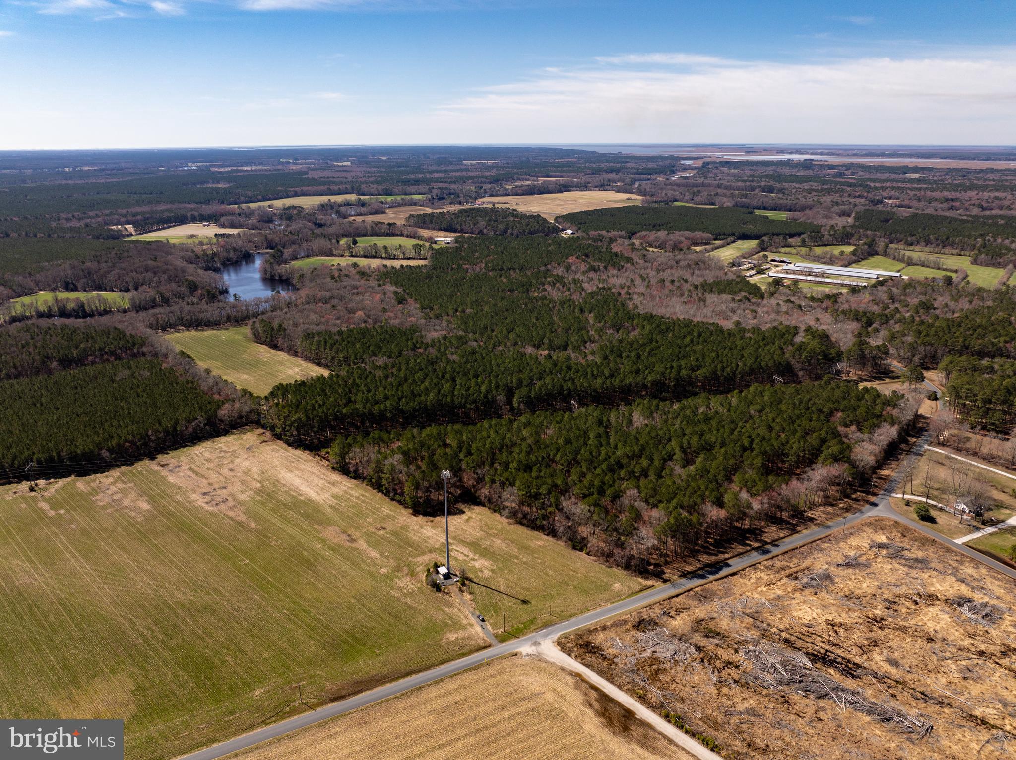 NONE AVAILABLE - Farm