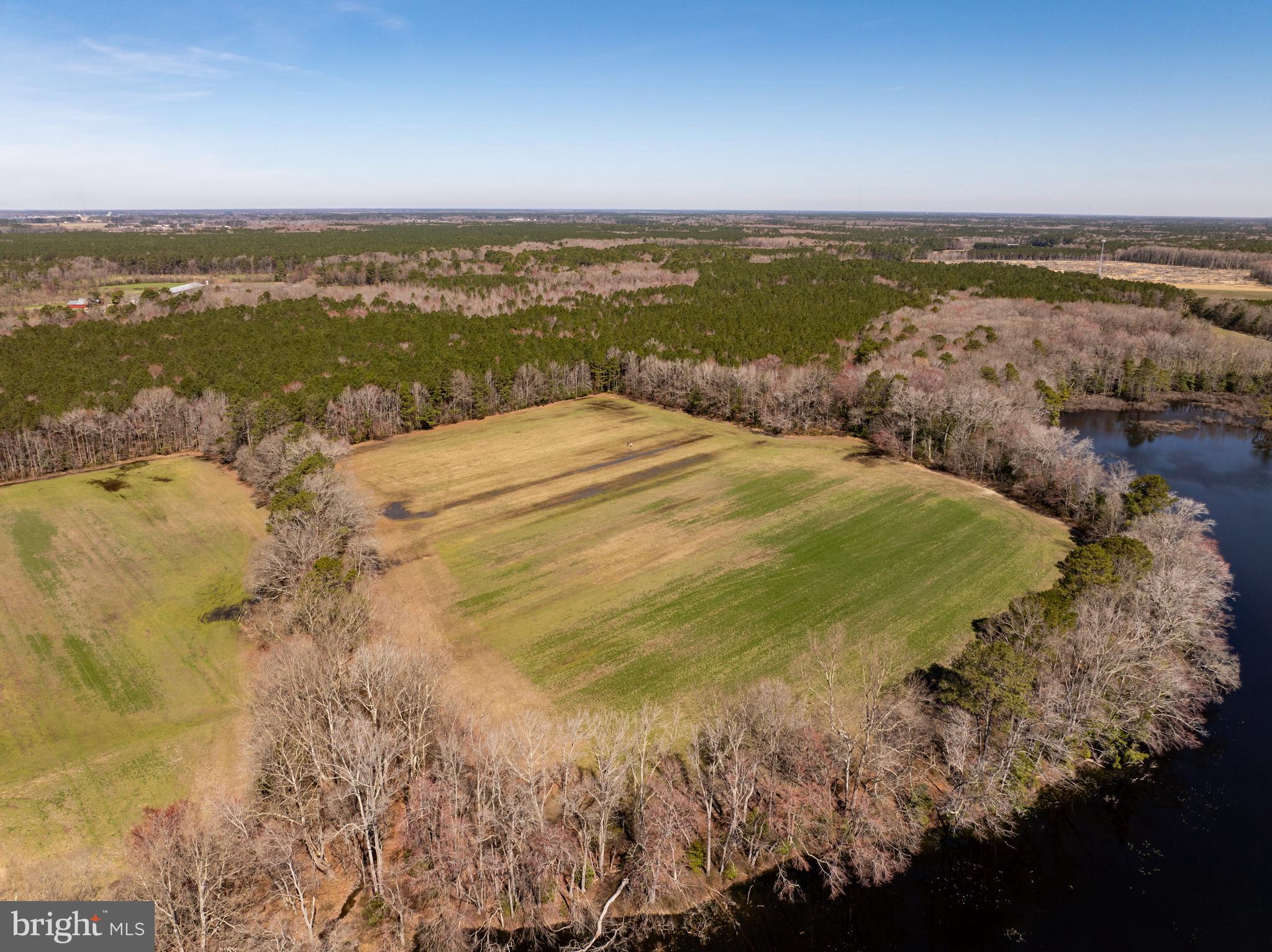 NONE AVAILABLE - Farm