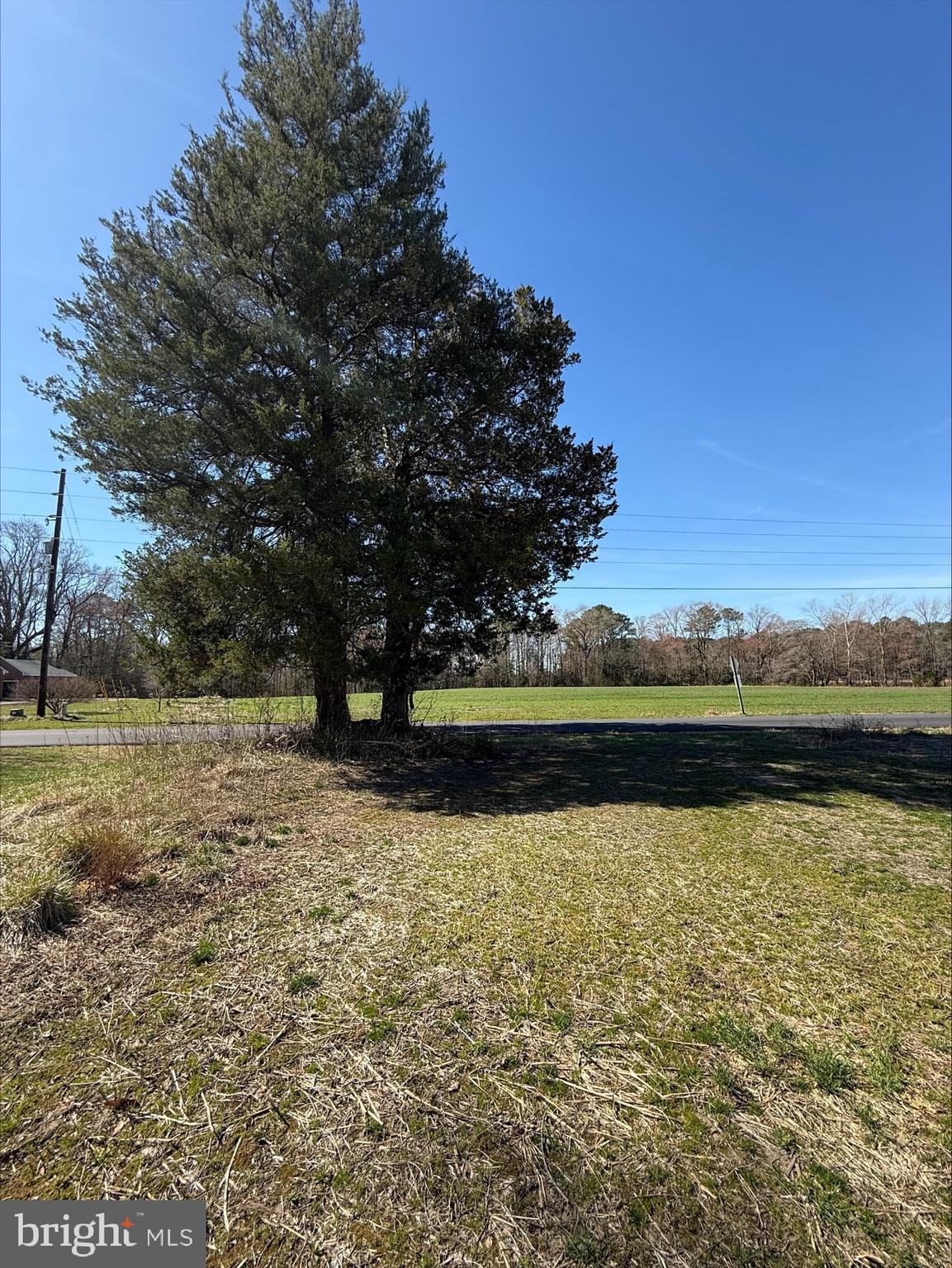 NONE AVAILABLE - Farm