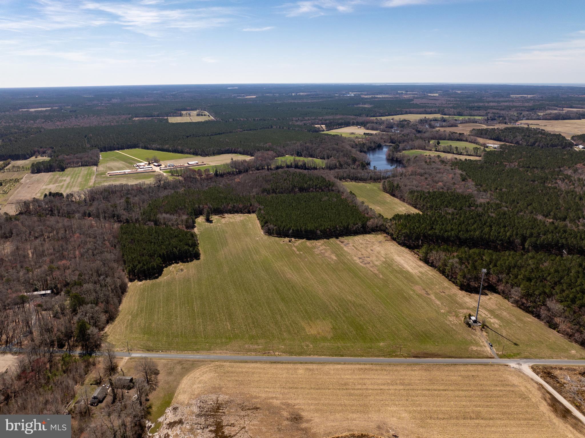 NONE AVAILABLE - Farm