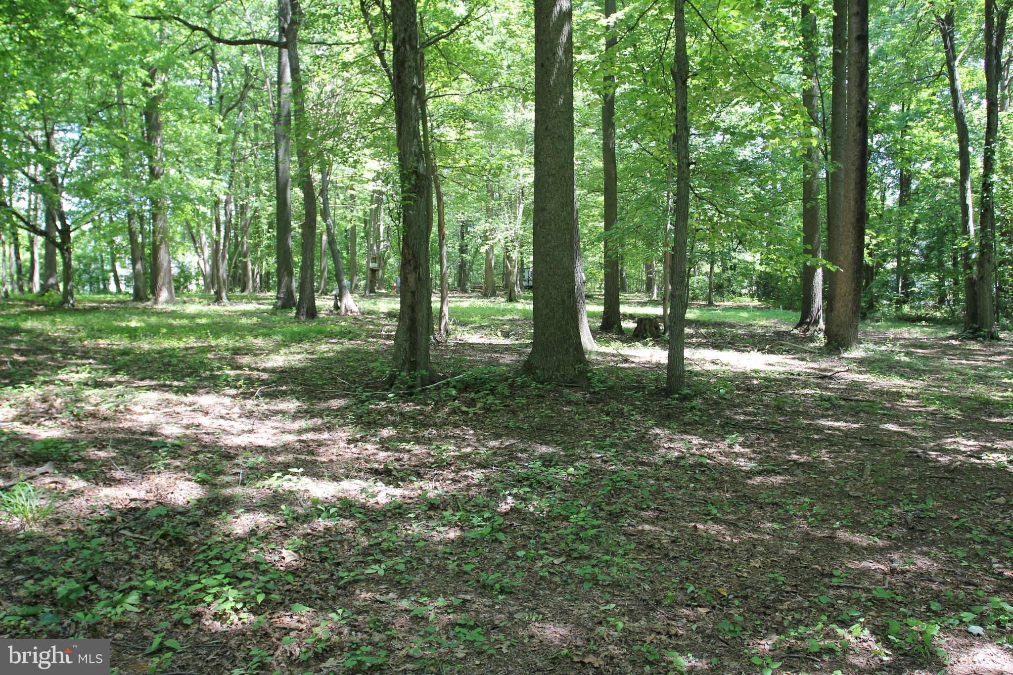 STOTTSVILLE ESTATE - Land