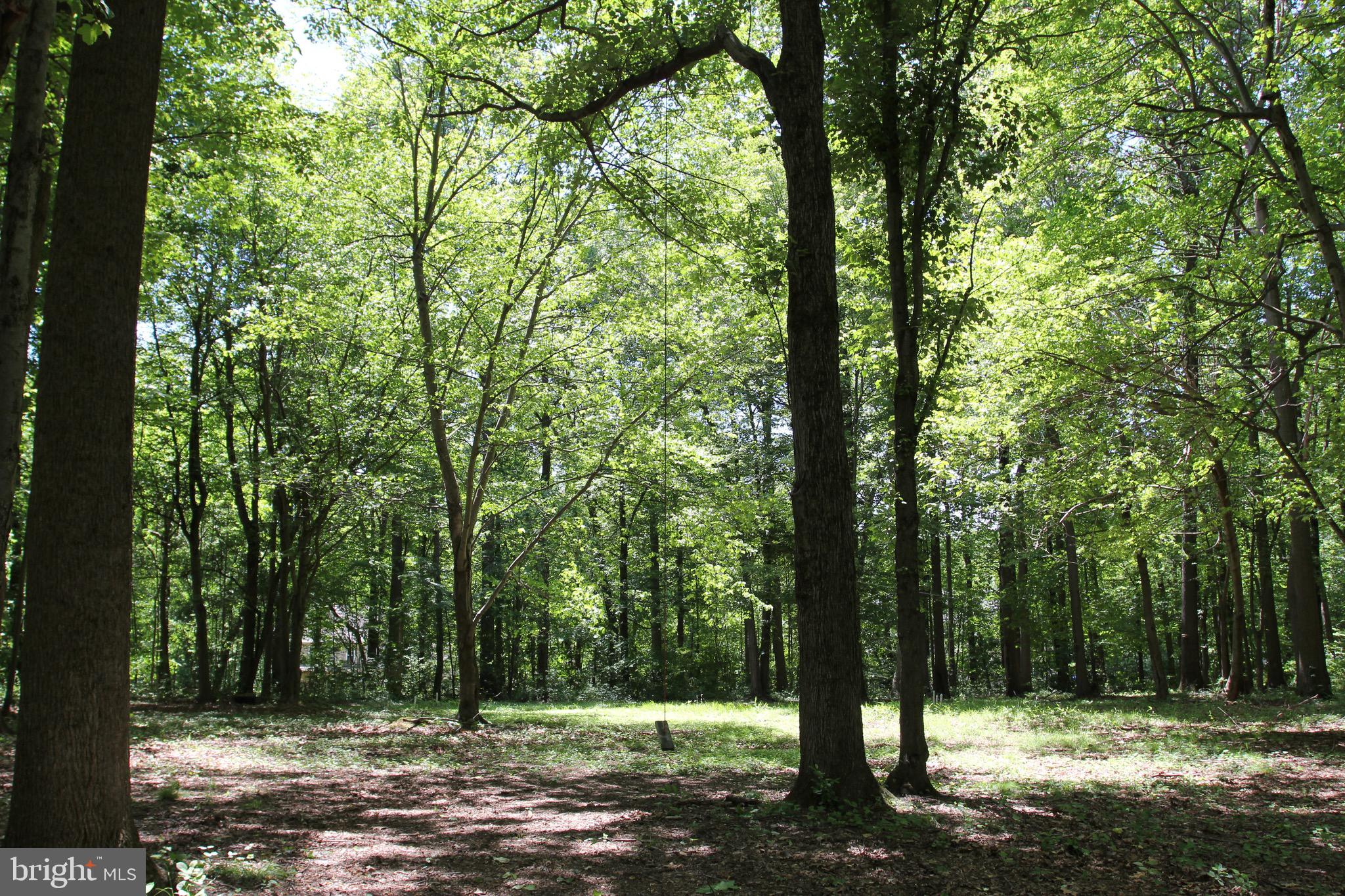 STOTTSVILLE ESTATE - Land